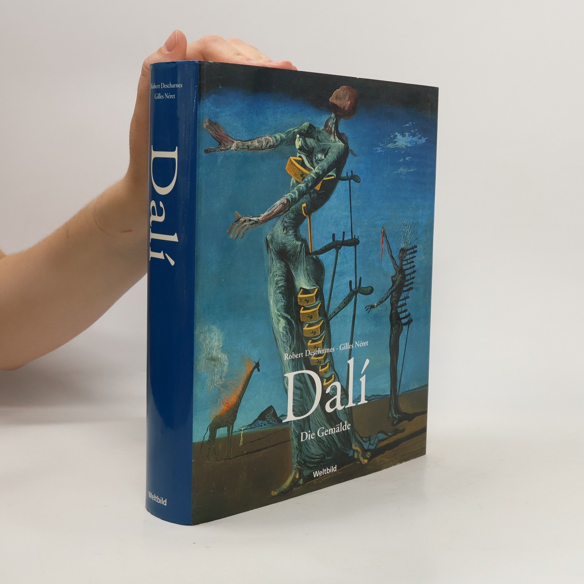 Robert Descharnes Salvador Dalí Die Gemälde