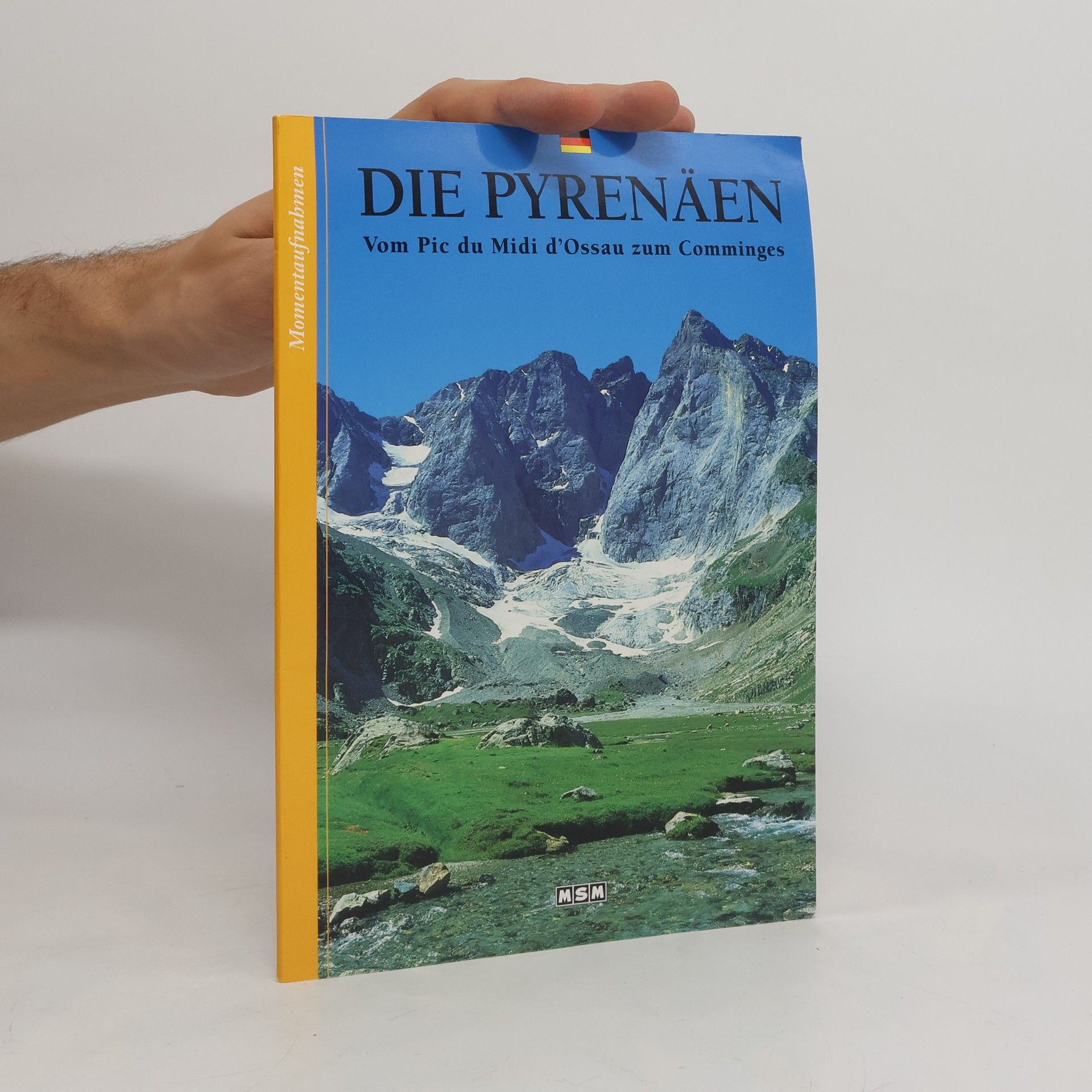Camille Fambon Die Pyrenäen