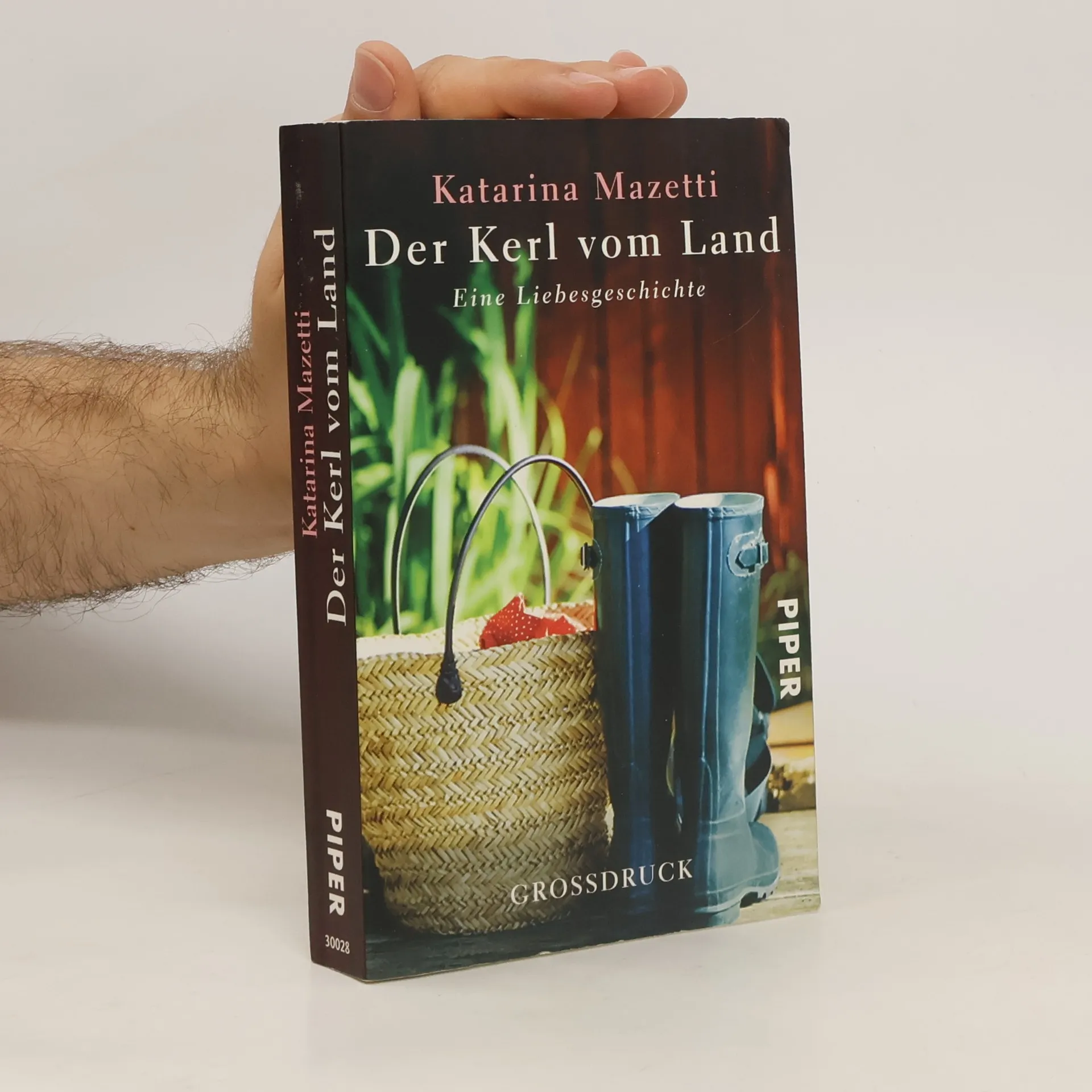 Der Kerl vom Land | Buch | Katarina Mazetti