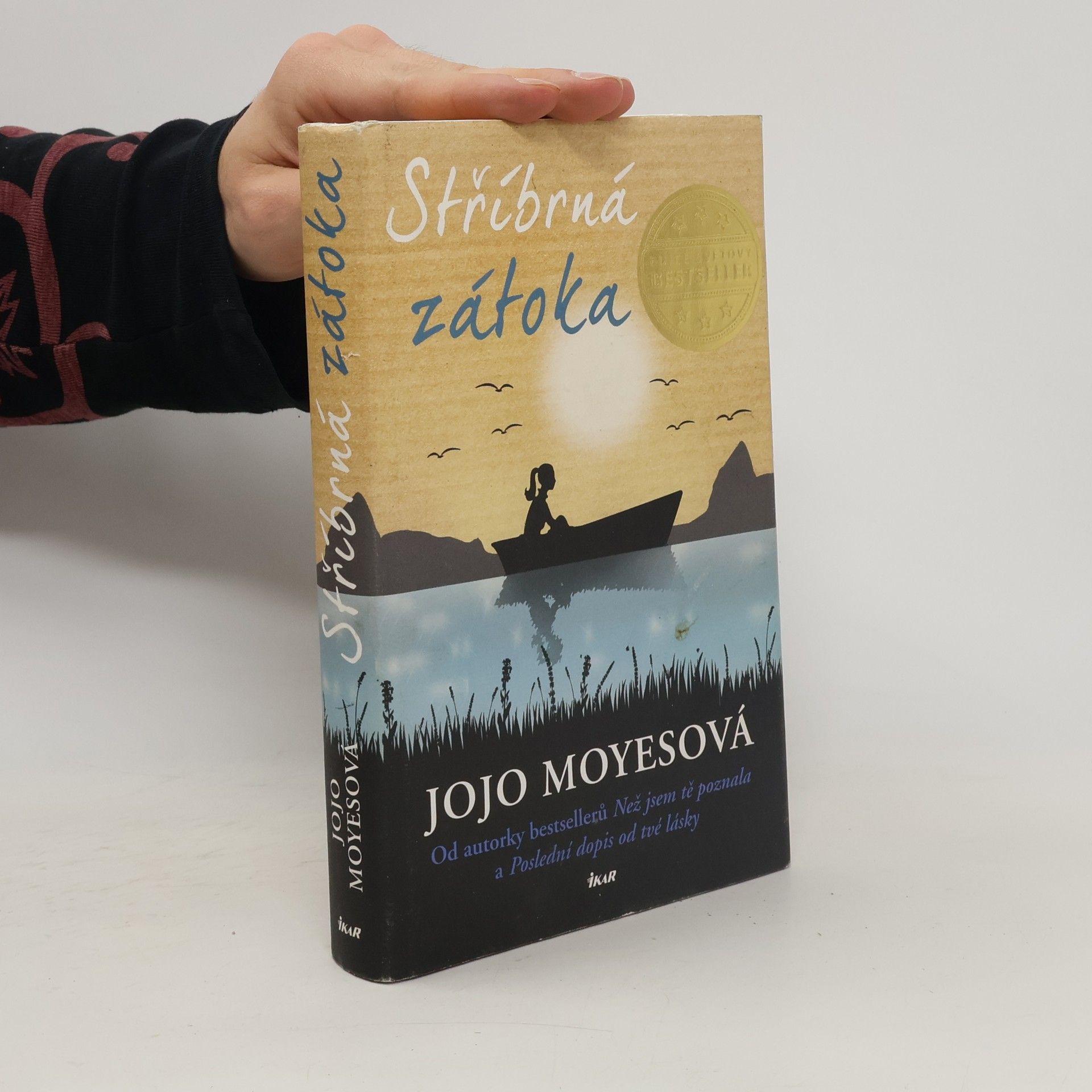 Jojo Moyesová Stříbrná zátoka