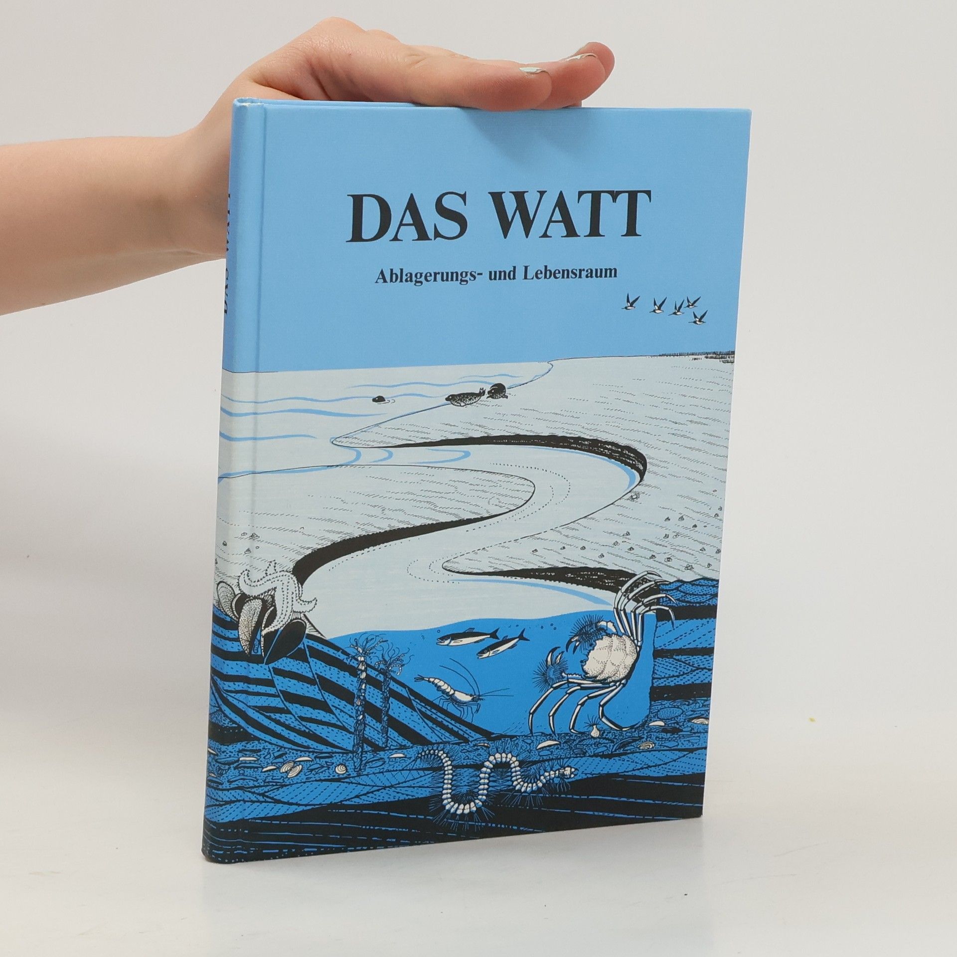 Hans Erich Reineck Das Watt