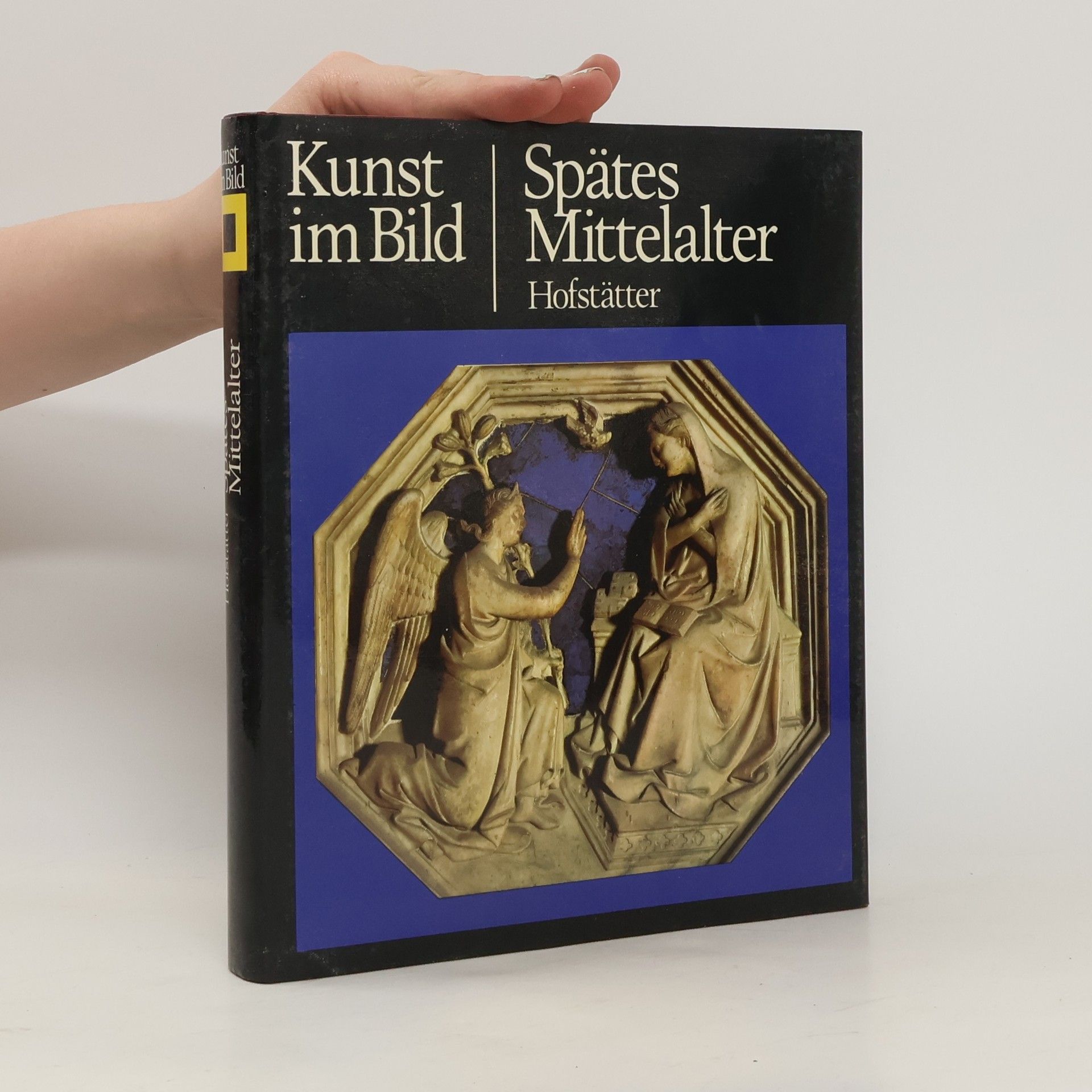 Hans Hofstatter Kunst im Bild. Spätes Mittelalter