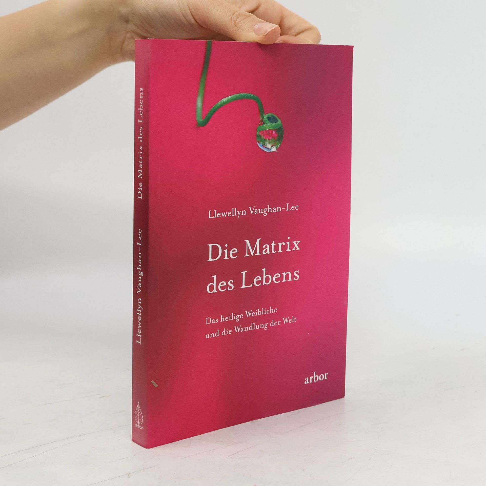 Llewellyn Vaughan Lee Die Matrix des Lebens