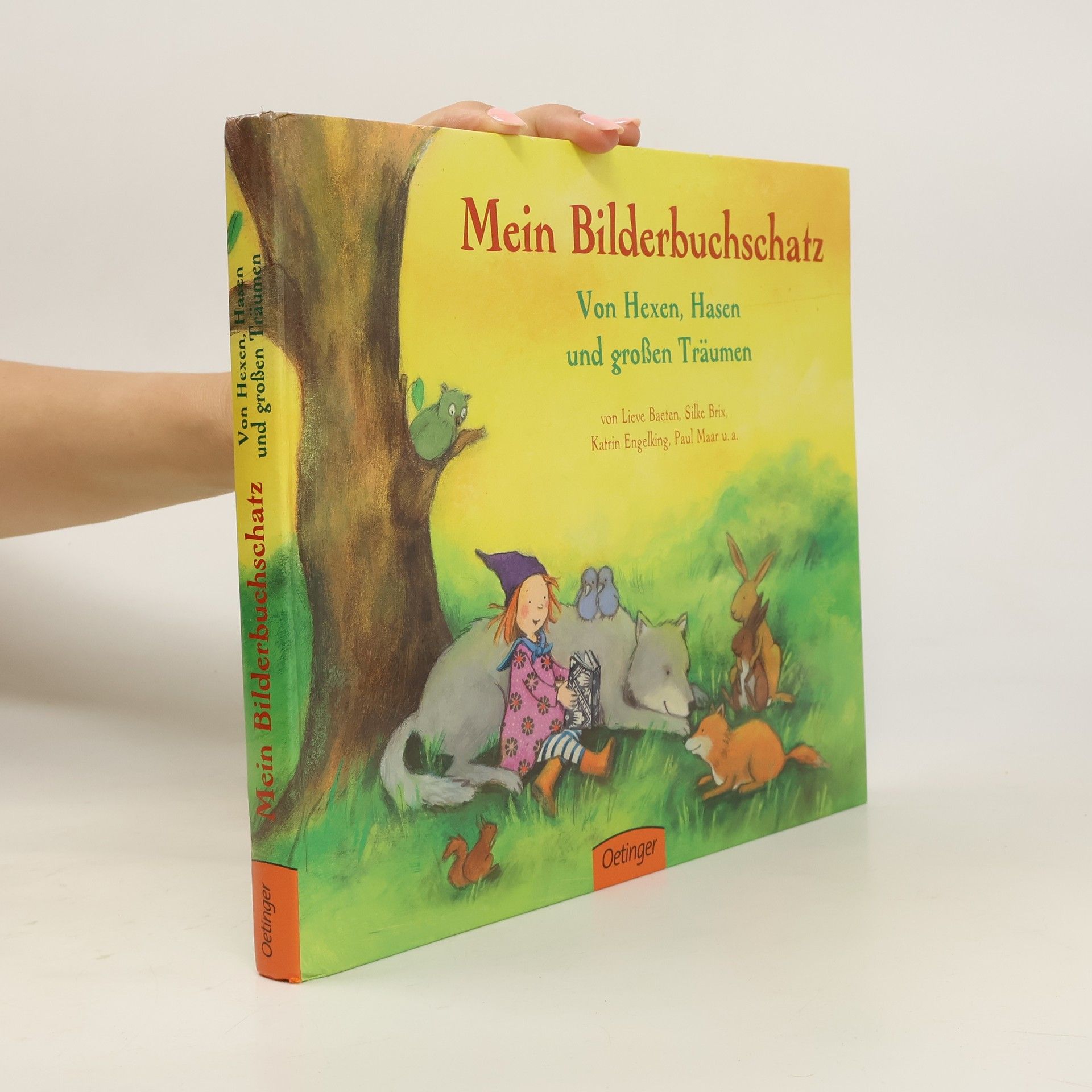 Lieve Baeten Mein Bilderbuchschatz