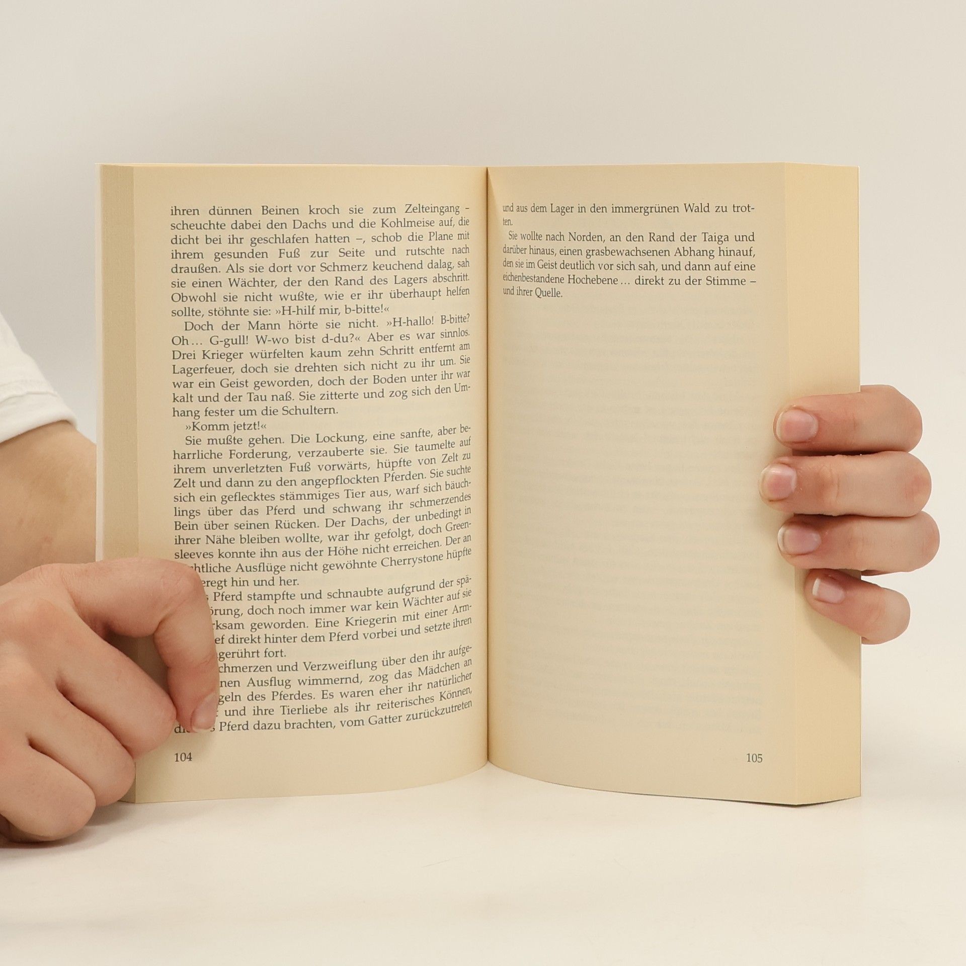 Clayton Emery Magic. Die Zusammenkunft 3. Zerschlagene Ketten.