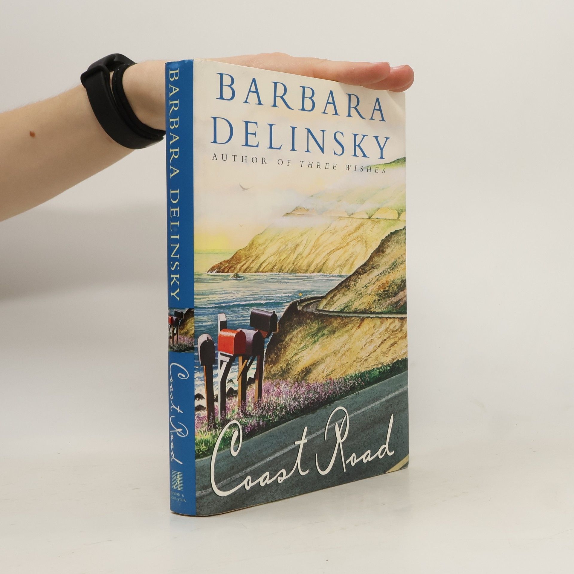 Barbara Delinsky Coast Road