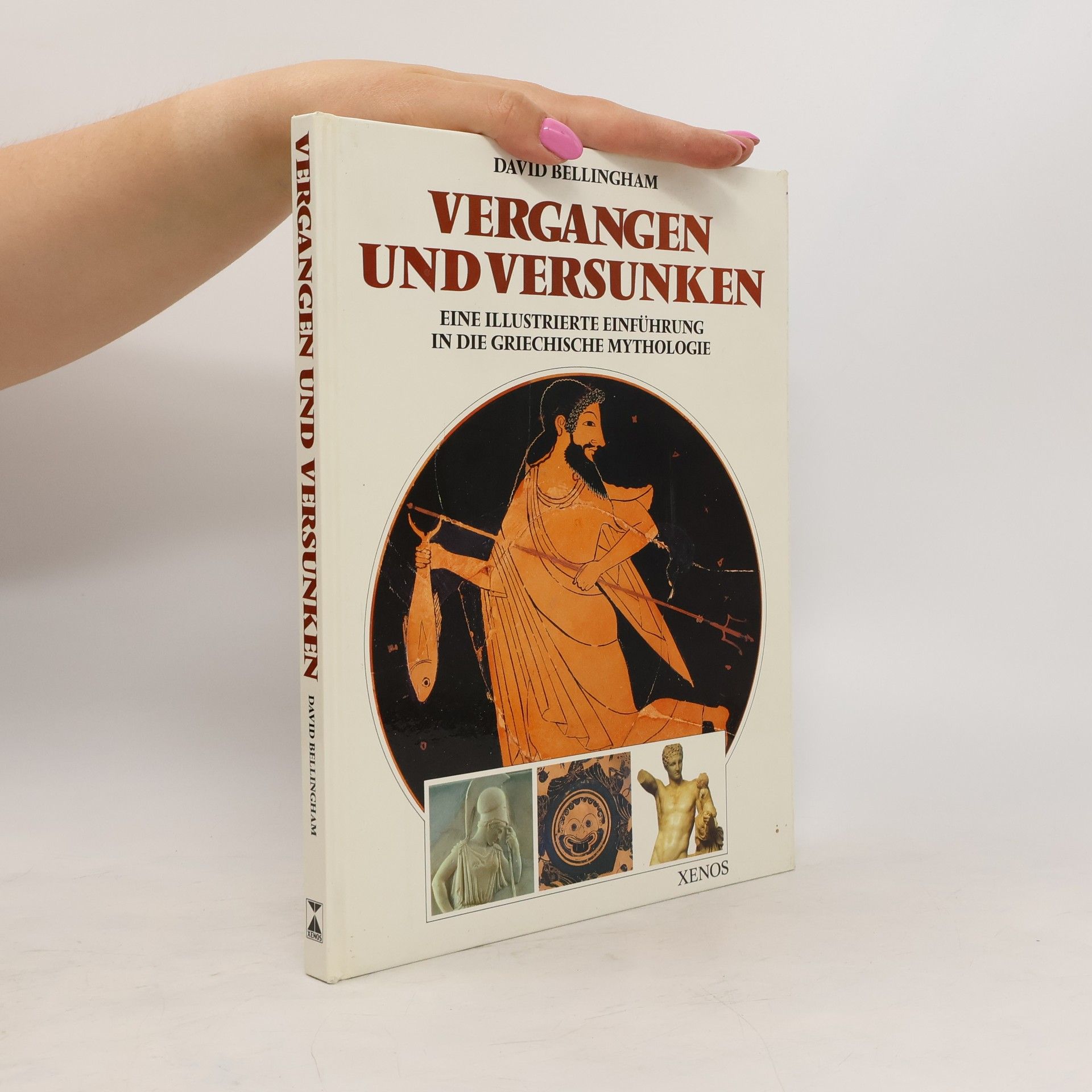 David Bellingham Vergangen und versunken