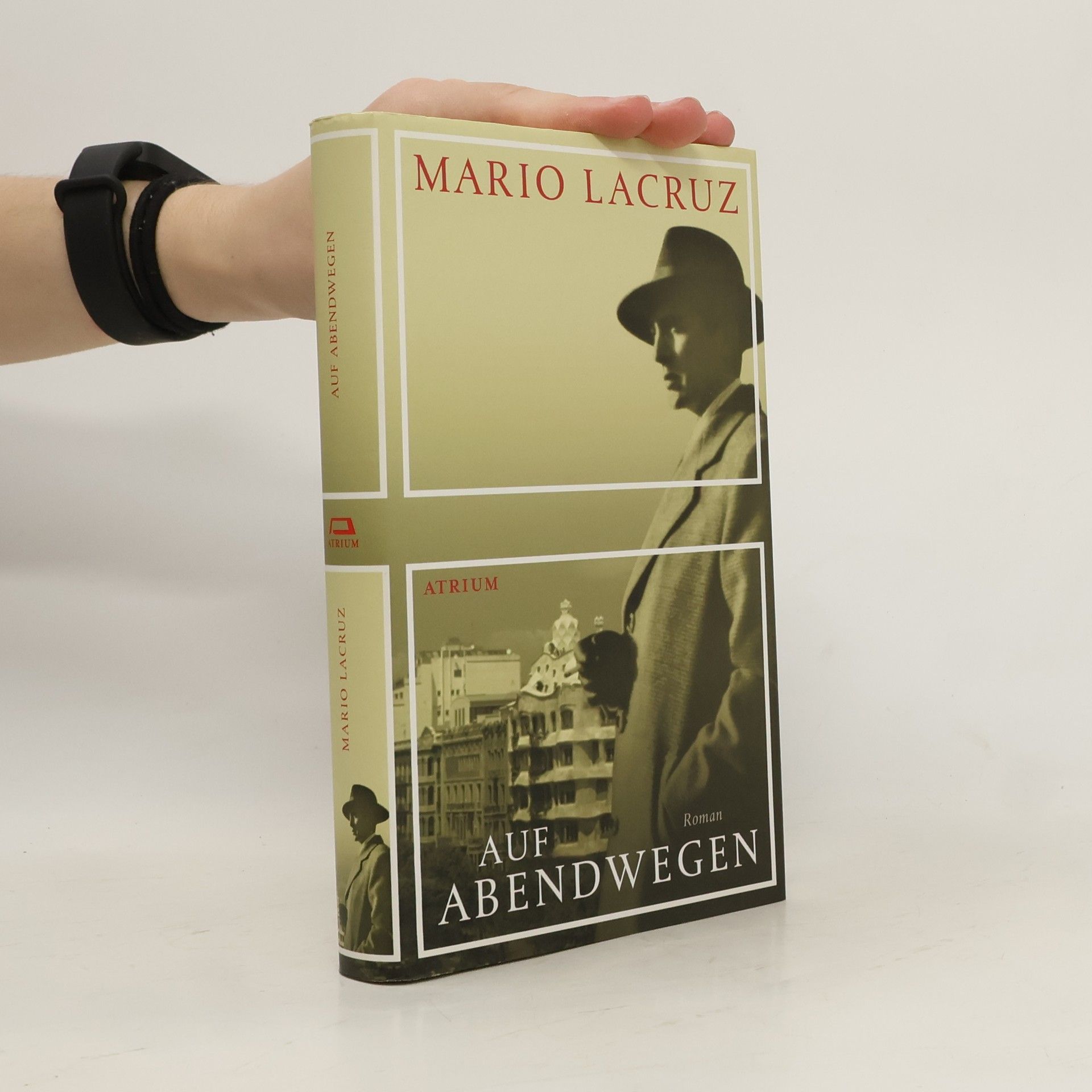 Mario Lacruz Auf Abendwegen