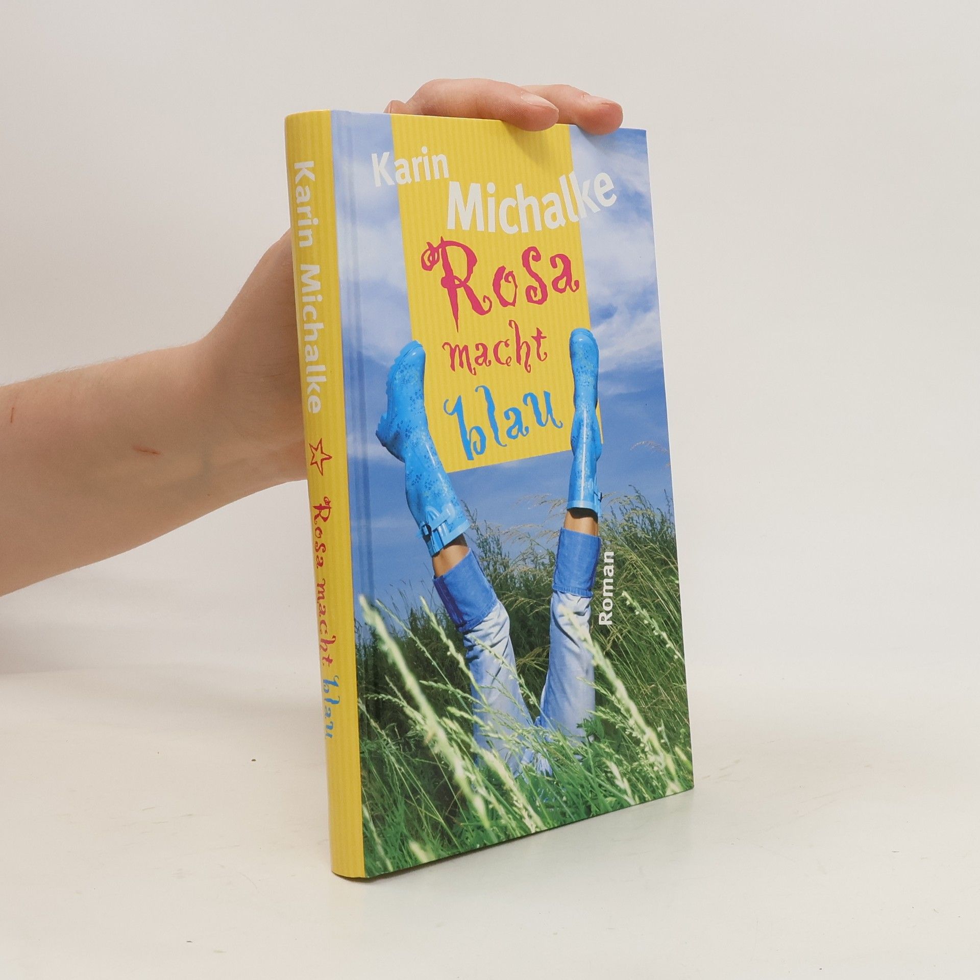 Karin Michalke Rosa macht blau
