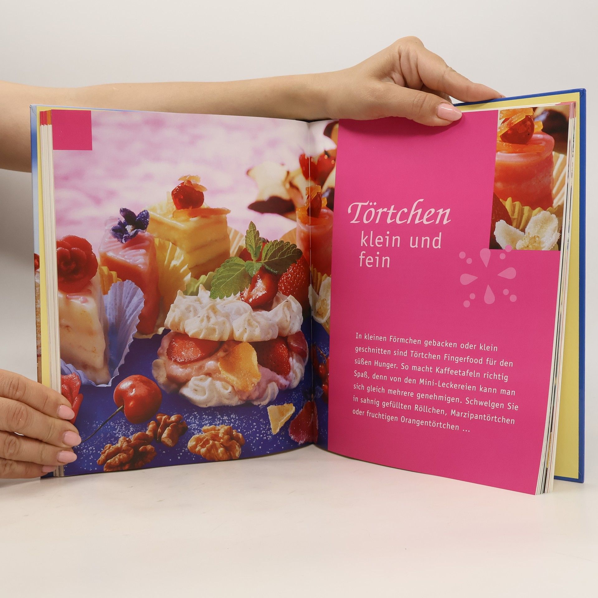 Oda Tietz Minitorten & kleine Kuchen