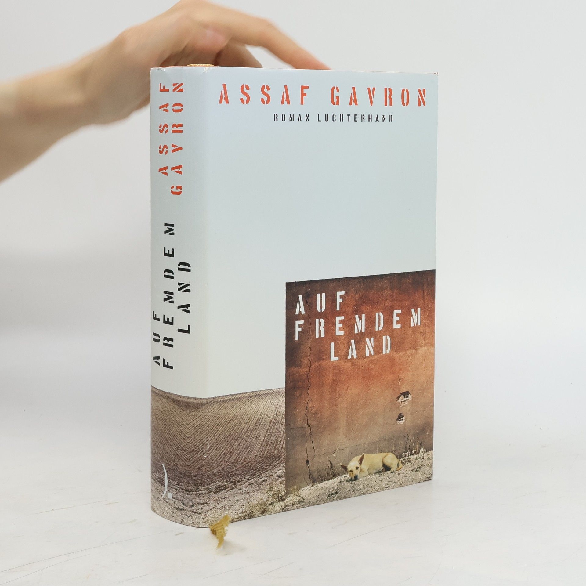 Asaf Gavron Auf fremdem Land