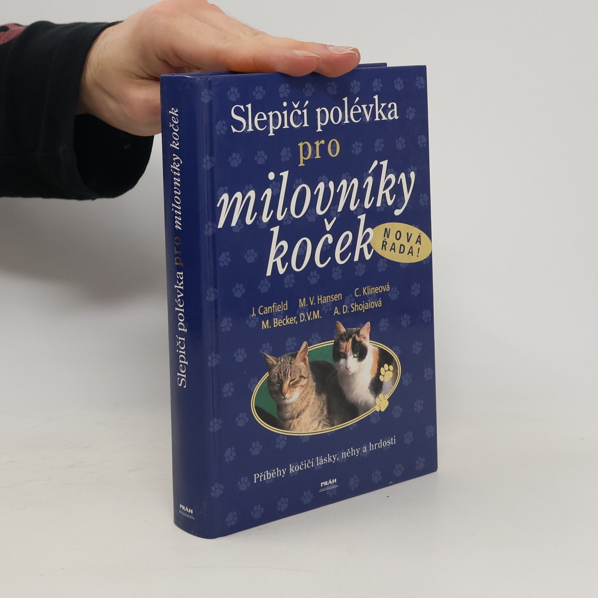 Jack Canfield Slepičí polévka pro milovníky koček: Příběhy o kočičí věrnosti, radosti i odvaze