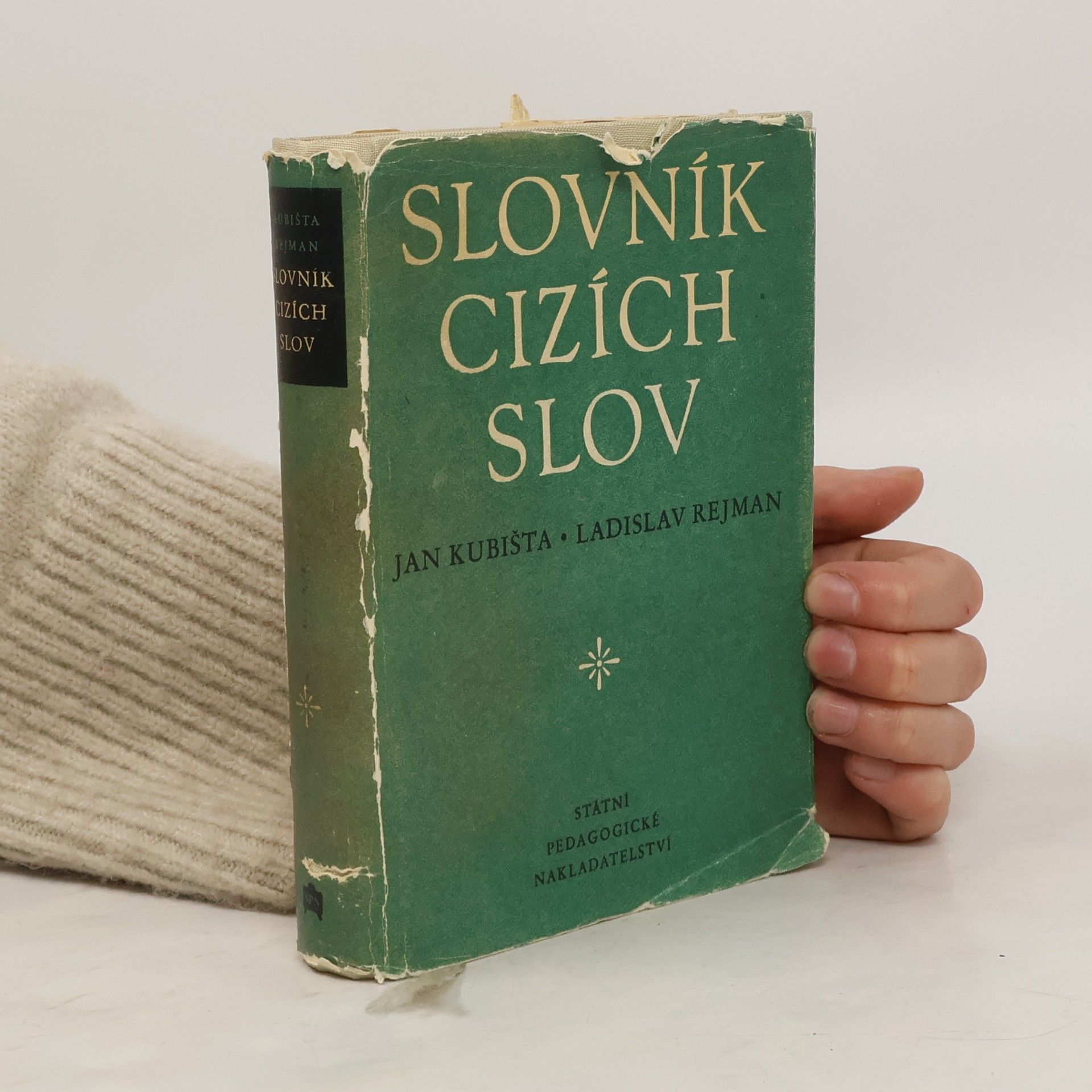 Jan Kubišta Slovník cizích slov