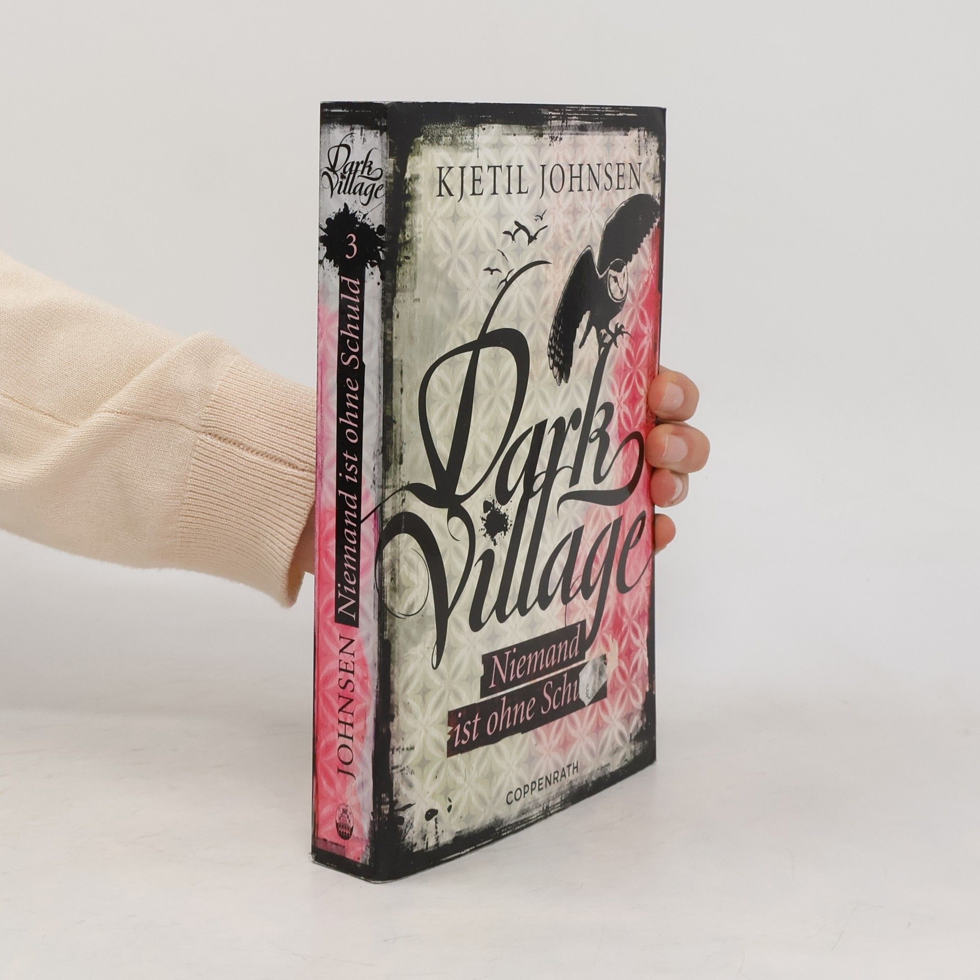 Kjetil Johnsen Dark Village 03 - Niemand ist ohne Schuld