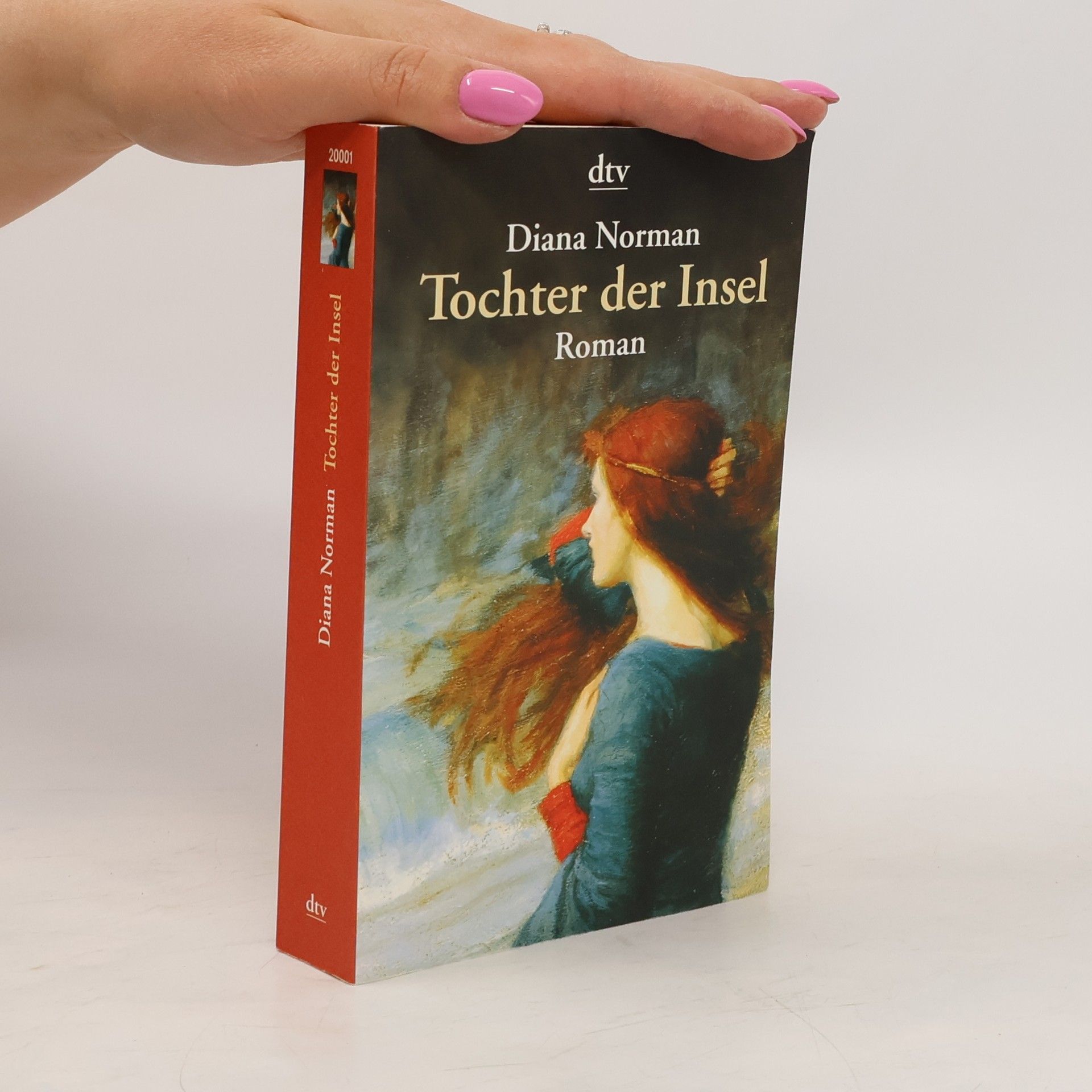 Diana Norman Tochter der Insel