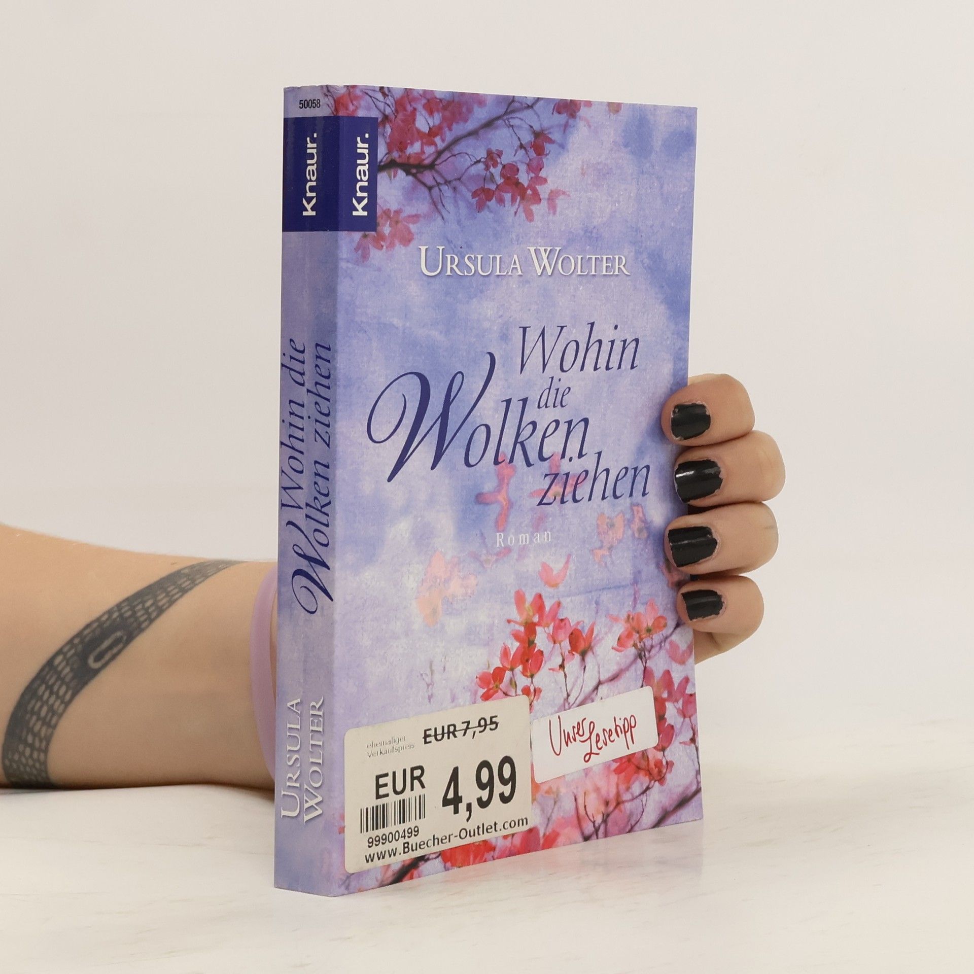 Ursula Wolter Wohin die Wolken ziehen. Roman