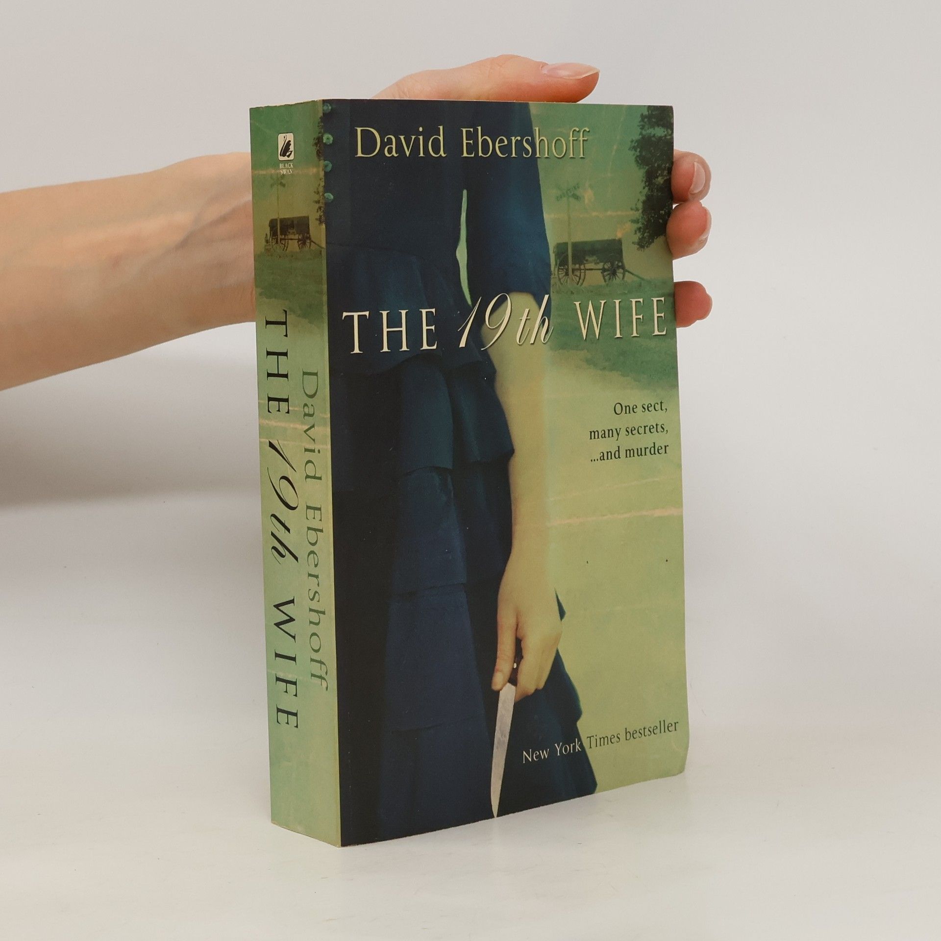 David Ebershoff The 19th wife