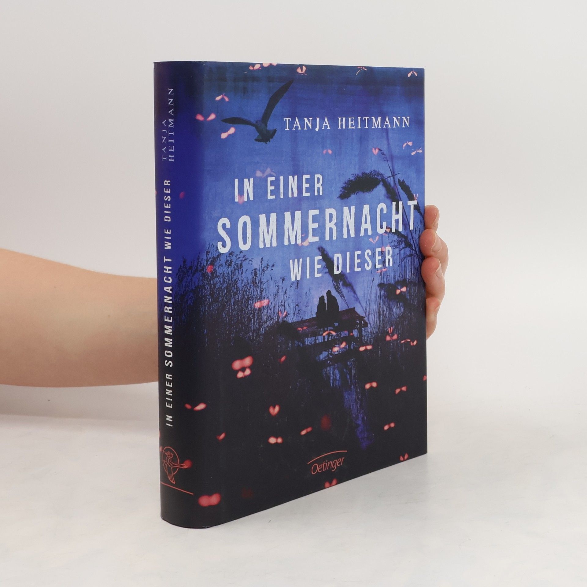 Tanja Heitmann In einer Sommernacht wie dieser