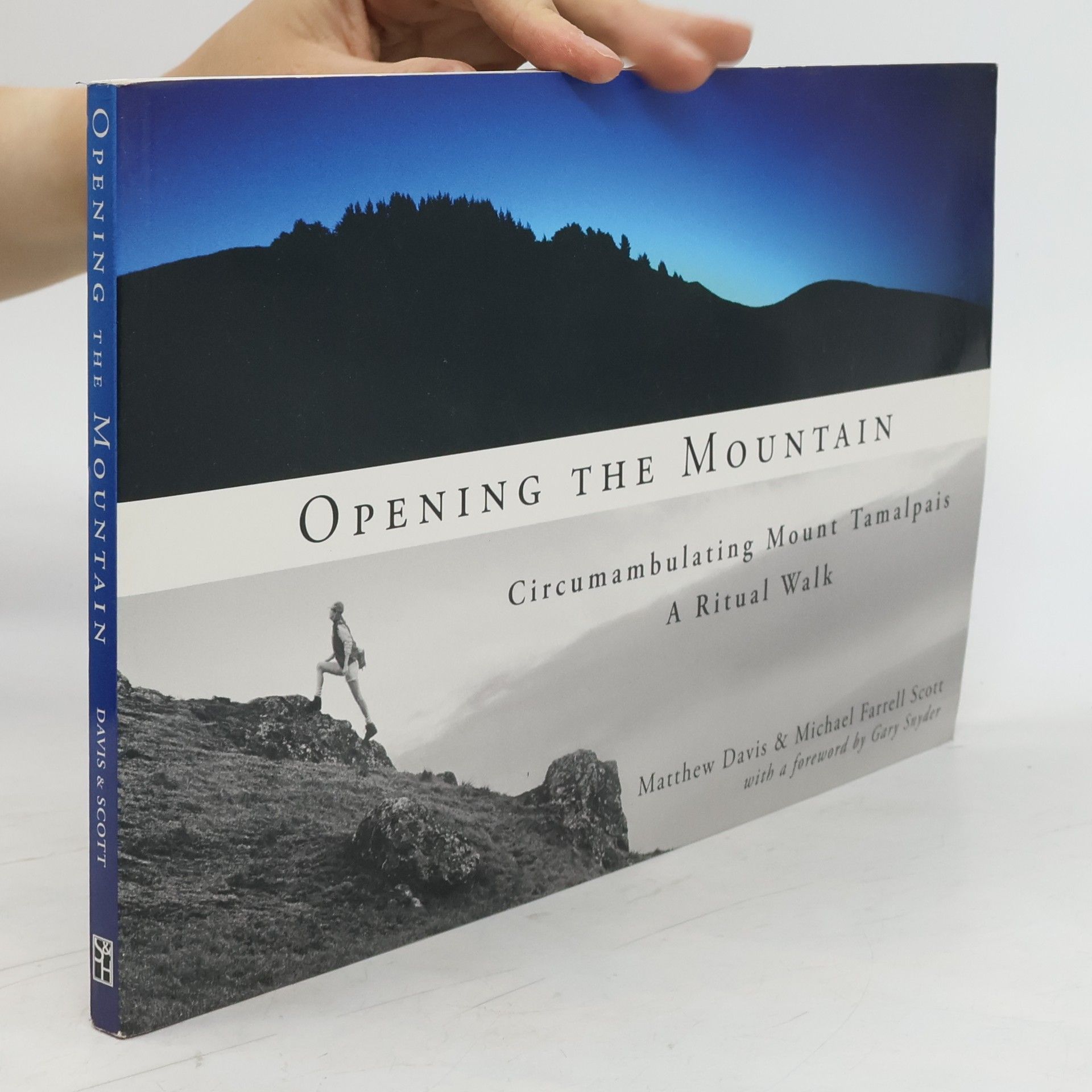 Matthew Davis Opening the Mountain