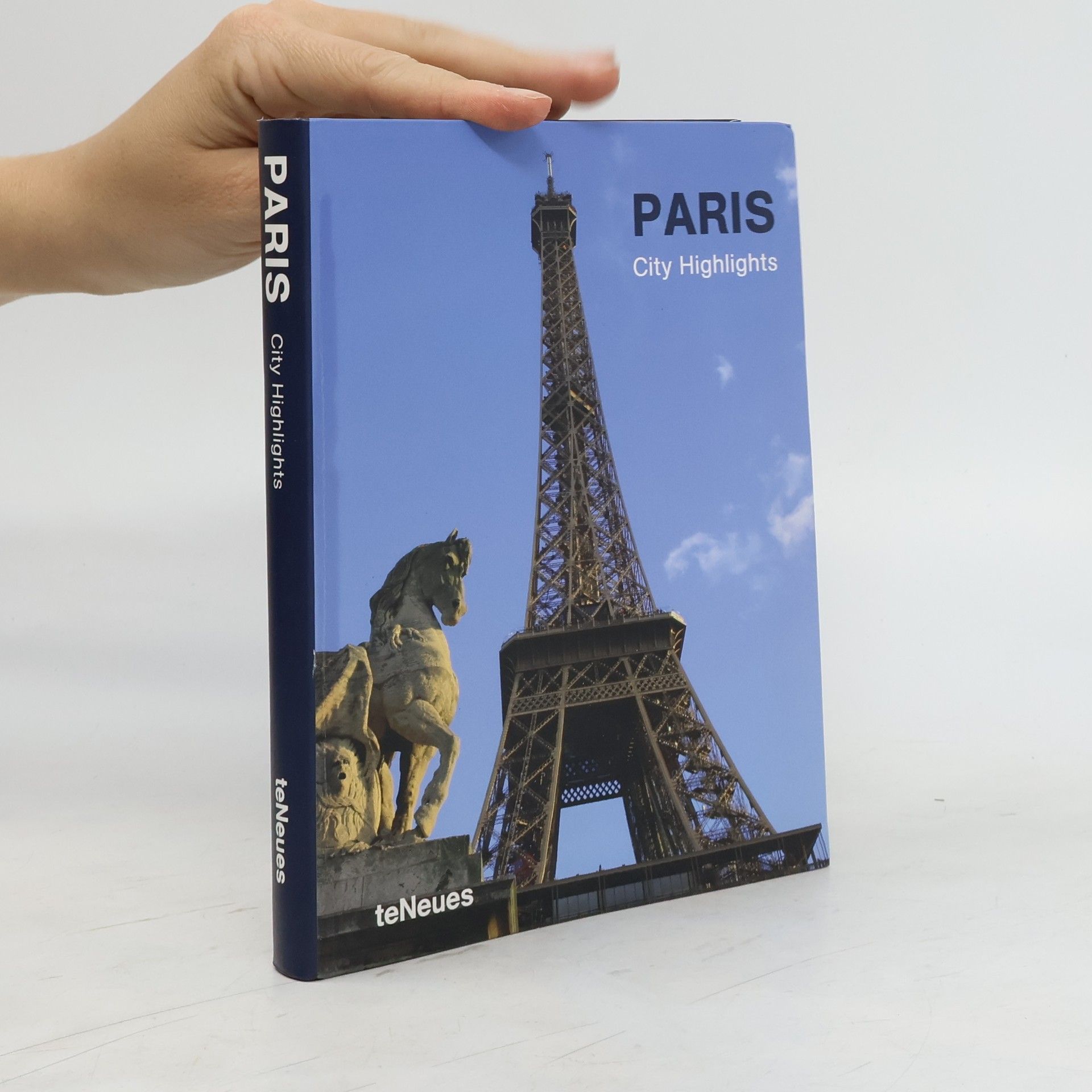 Yasemin Erdem Paris