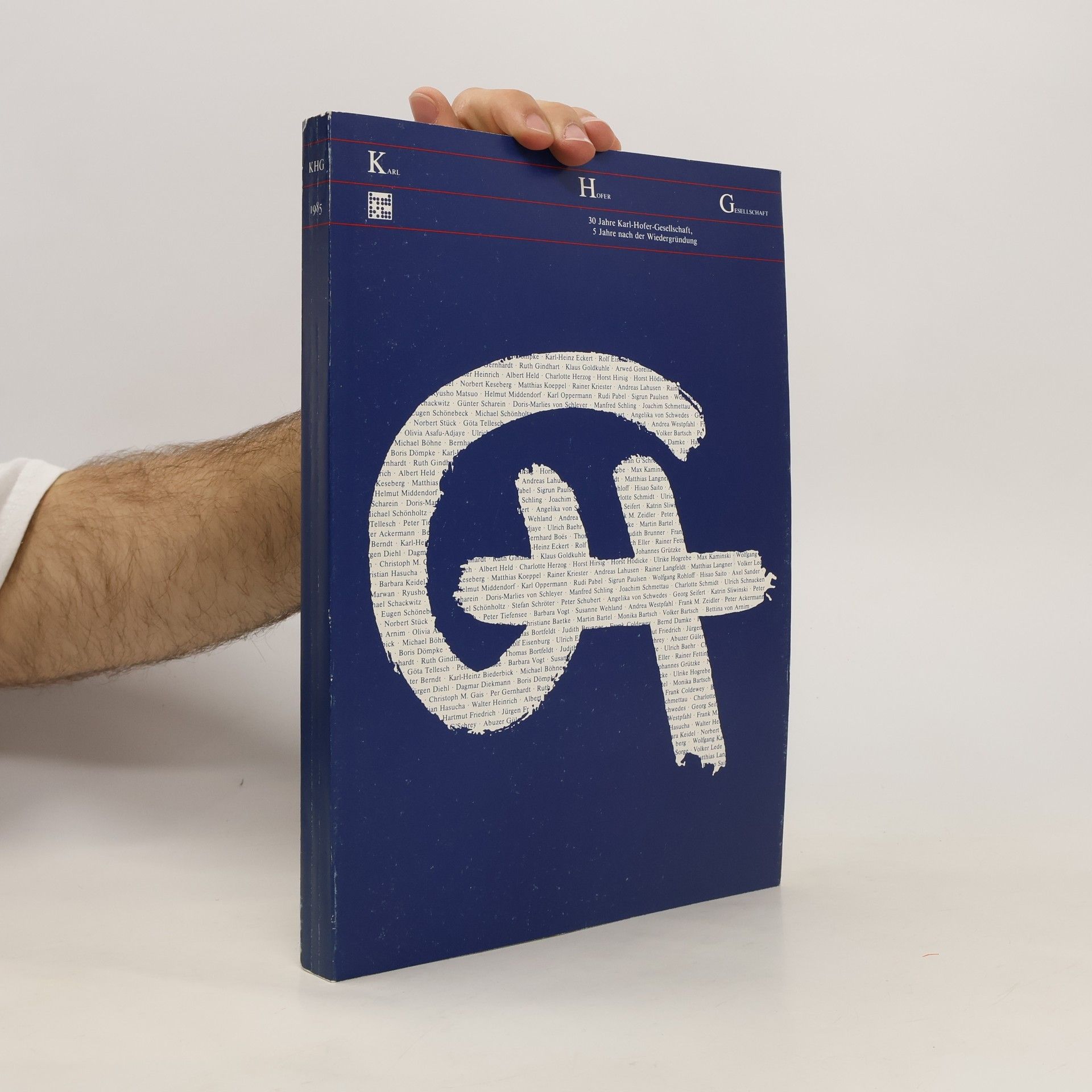 Kolektiv autorů 30 Jahre Karl-Hofer-Gesellschaft,5 Jahre nach der Wiedergründung