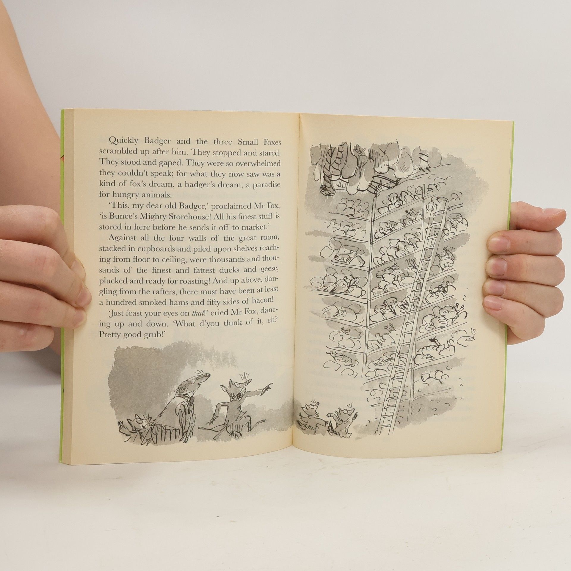Roald Dahl Fantastic Mr Fox