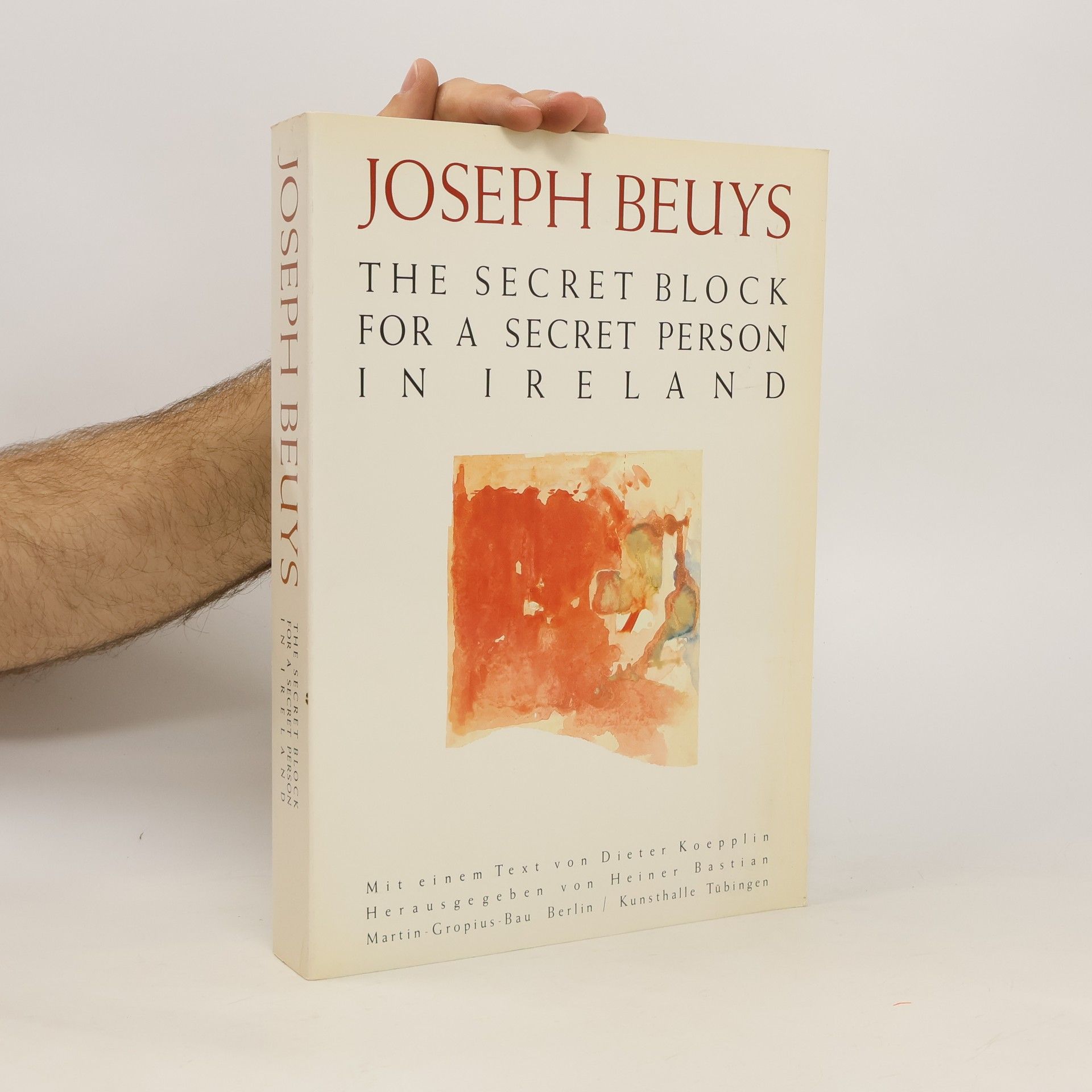 Heiner Bastian Joseph Beuys, The secret block for a secret person in Ireland