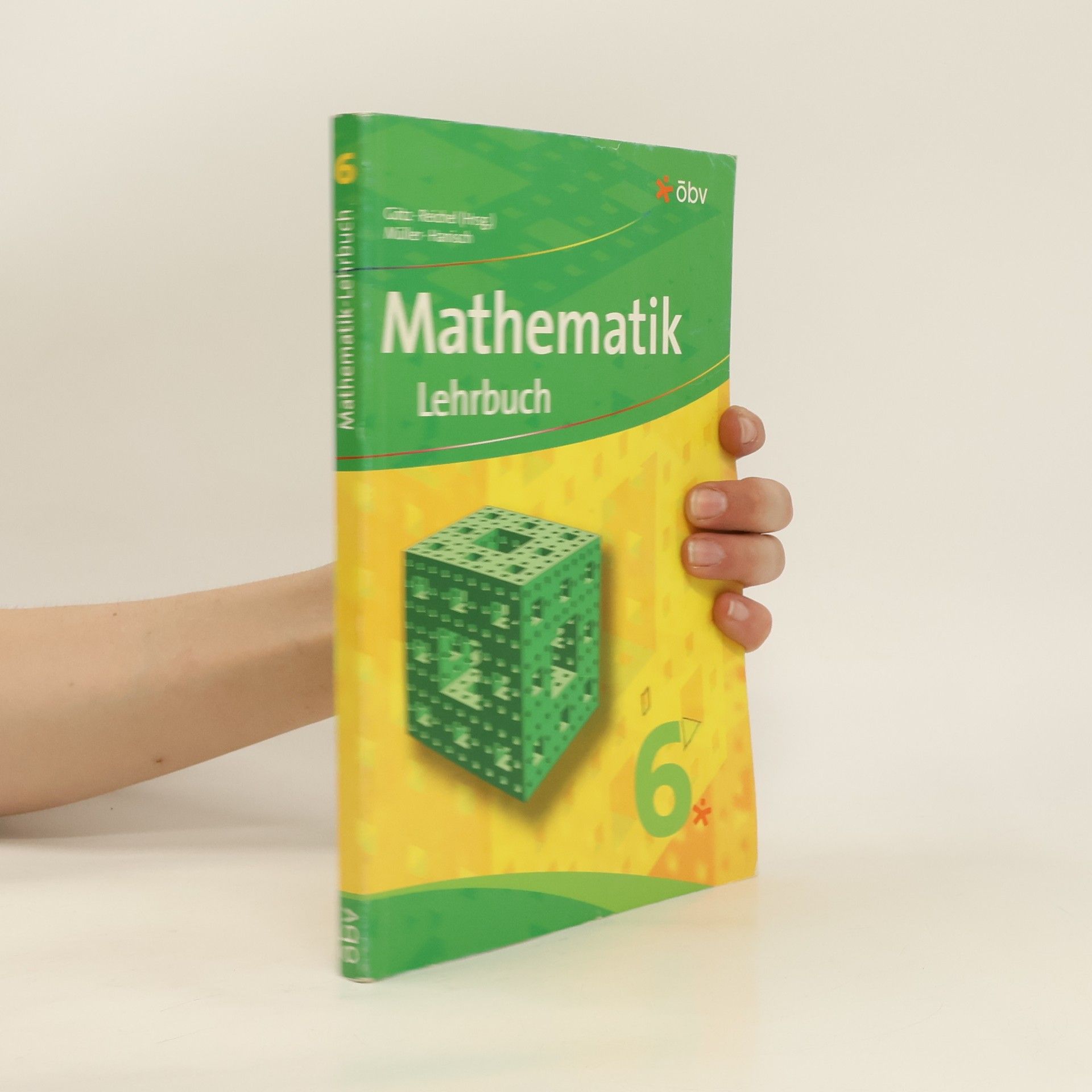 Stefan Götz Mathematik Lehrbuch 6