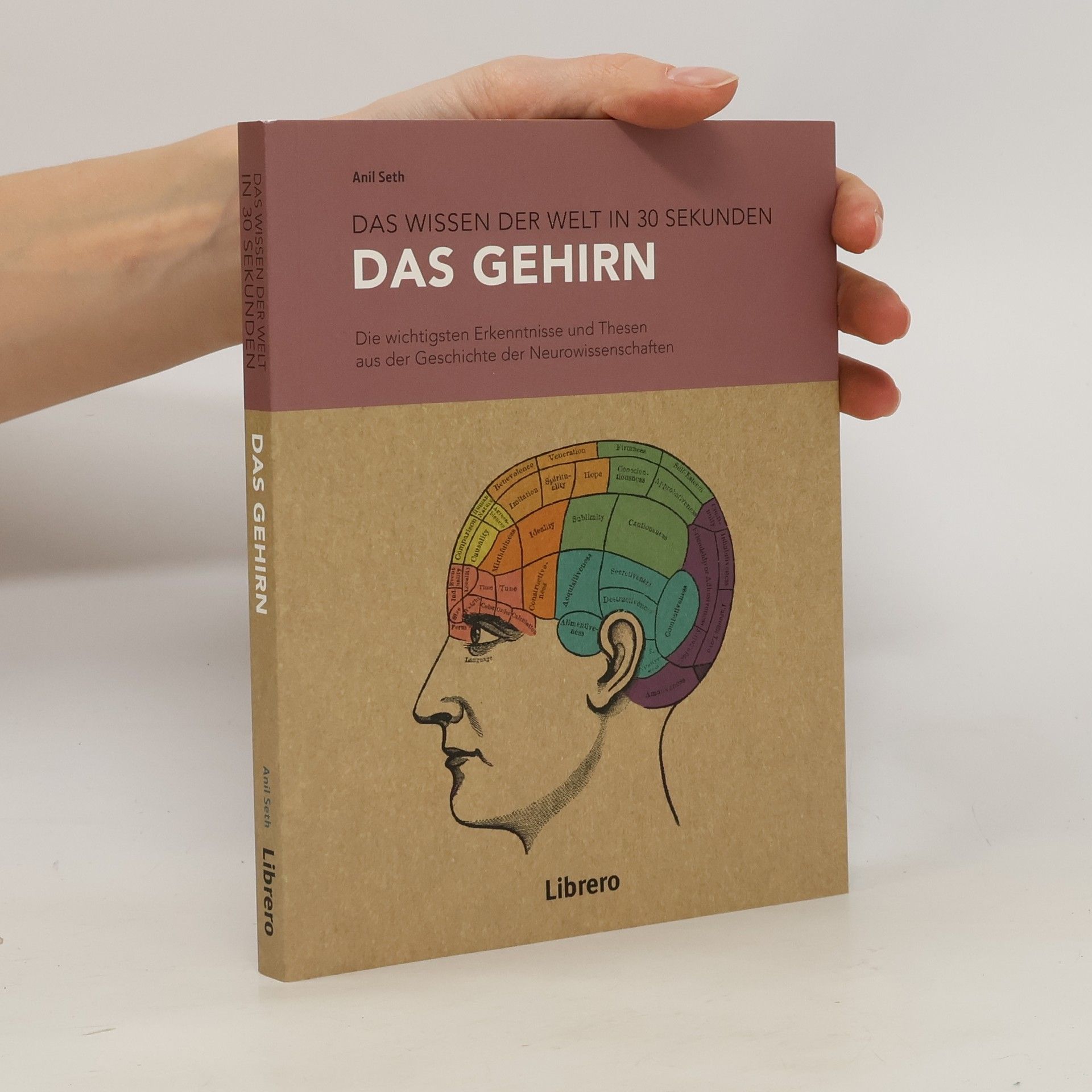 Anil Seth Das Gehirn