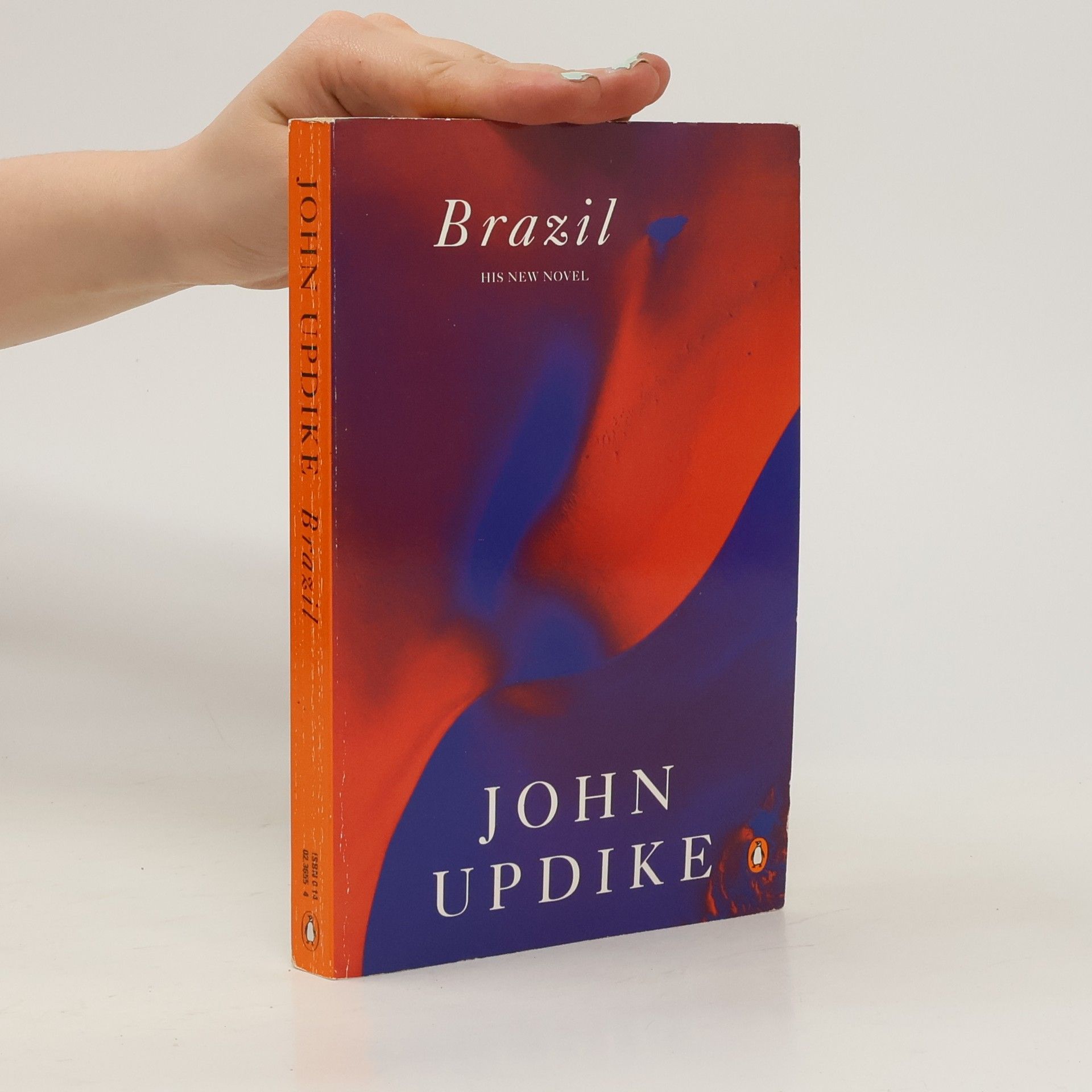 John Updike Brazil
