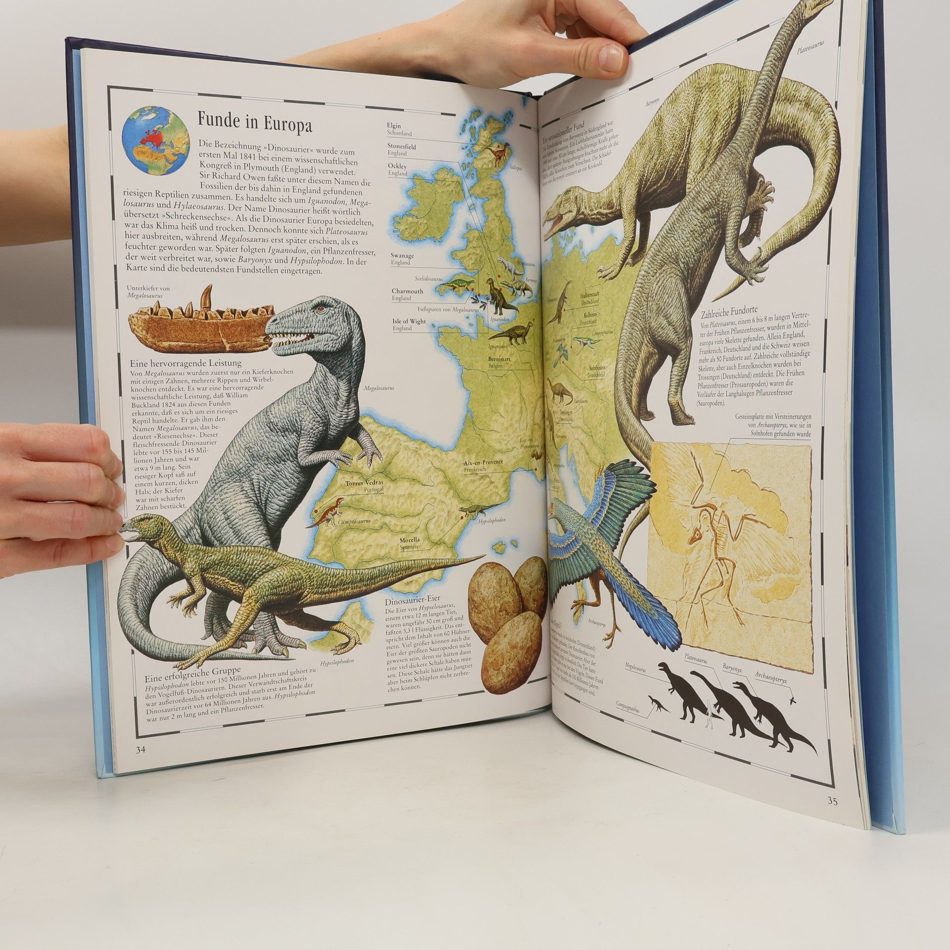 William Lindsay Bildatlas der Dinosaurier