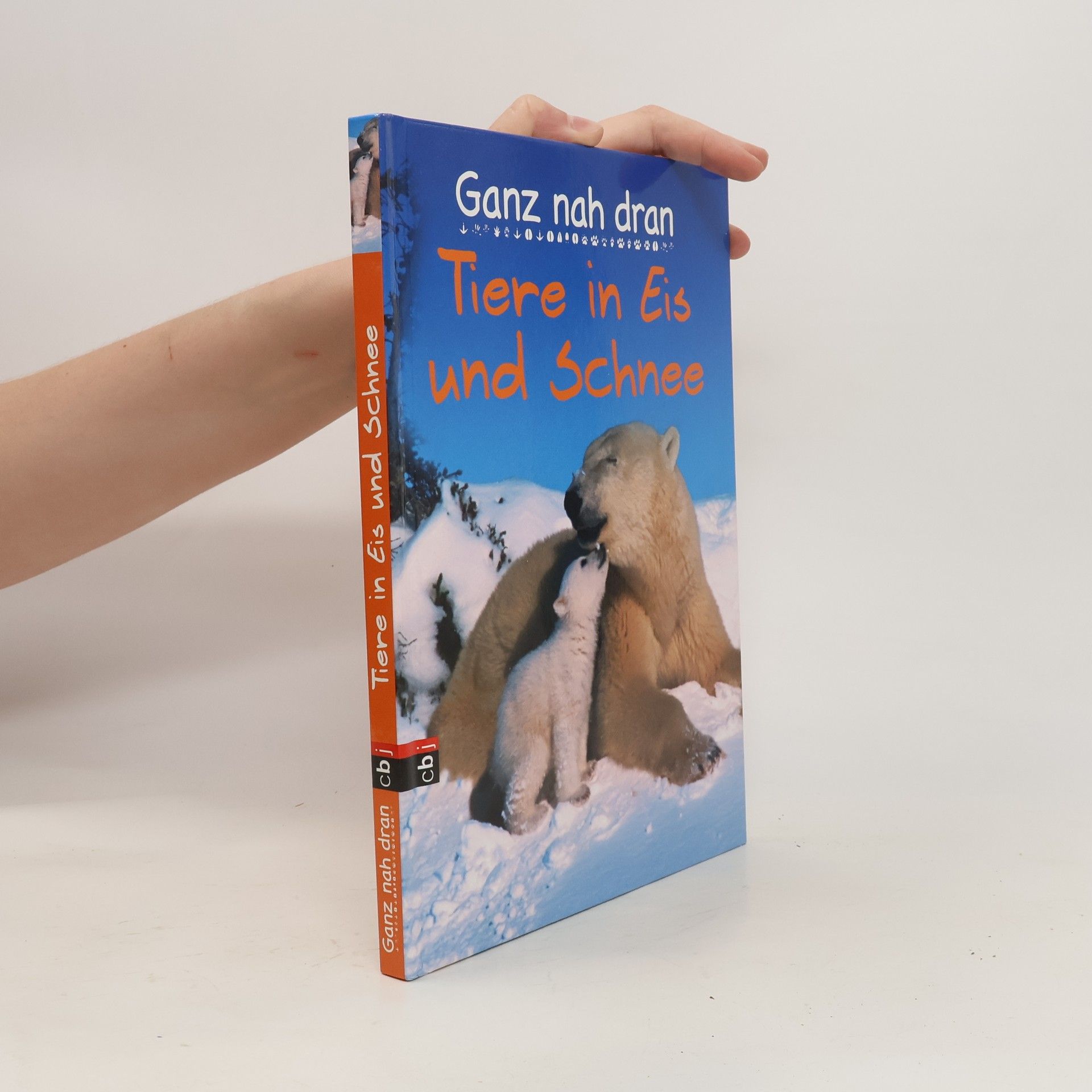 Cornelia Panzacchi Tiere in Eis und Schnee