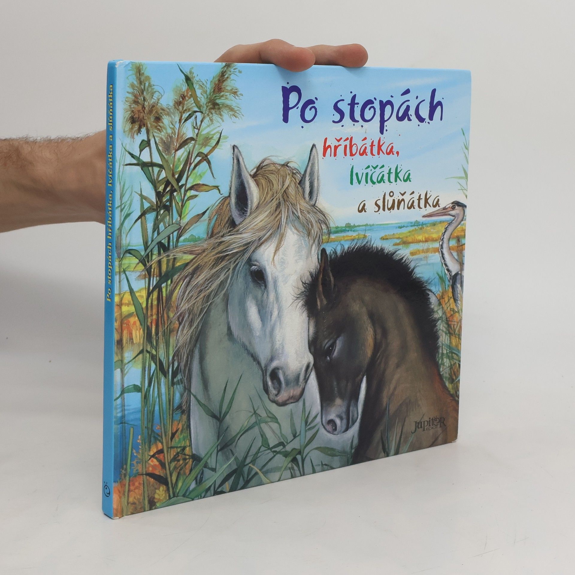 Pierre Couronne Po stopách hříbátka, lvíčátka a slůňátka