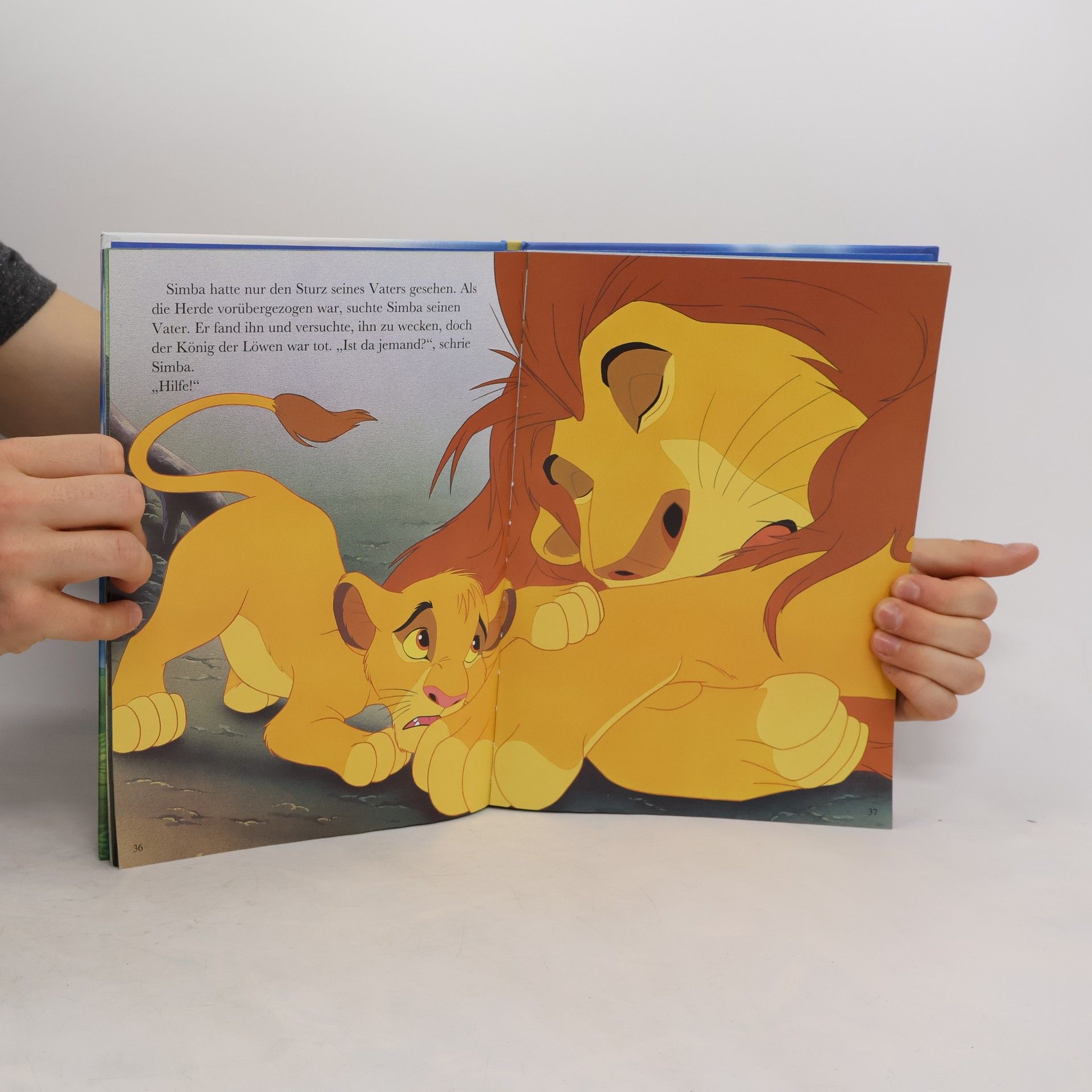 kolektiv König der Löwen