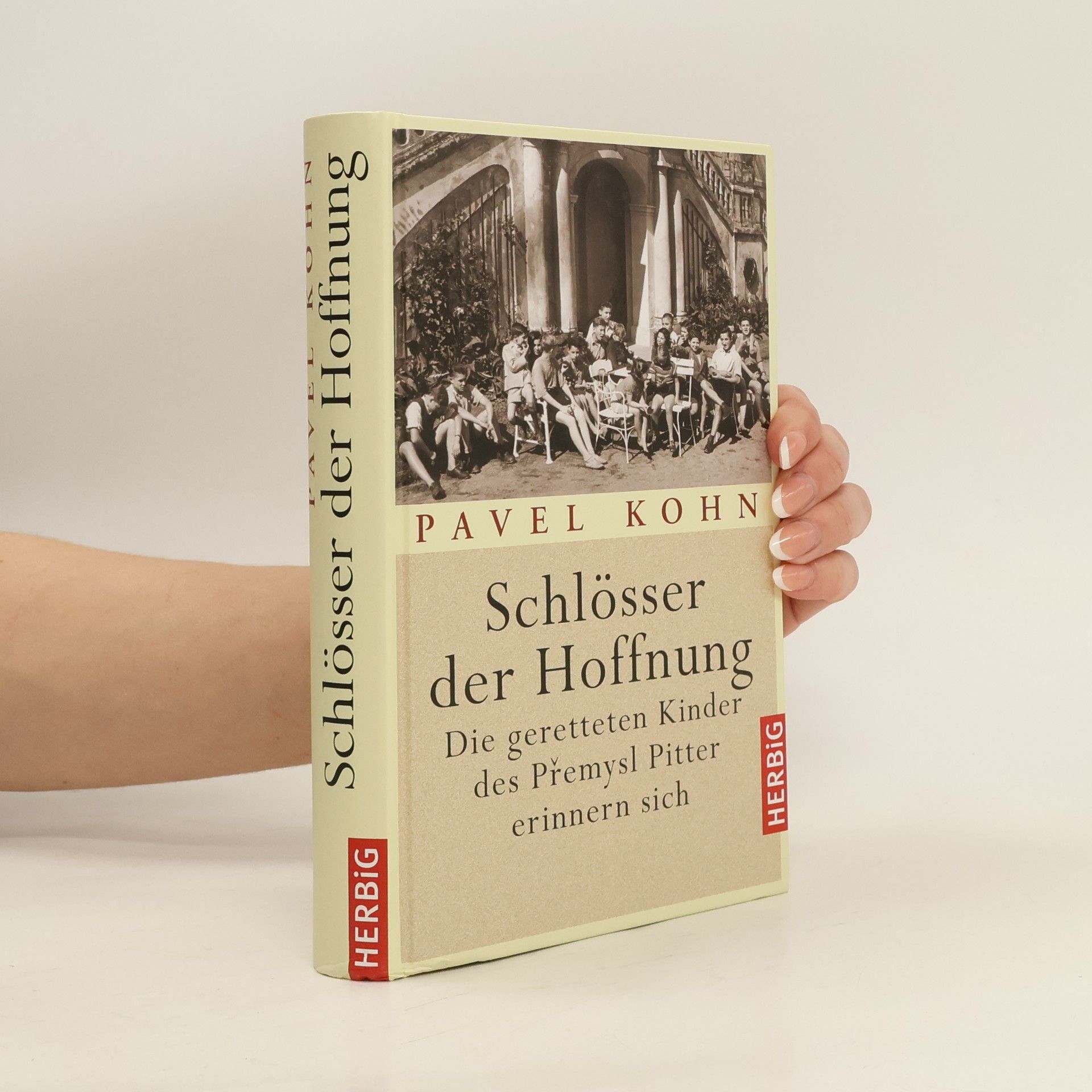 Pavel Kohn Schlösser der Hoffnung