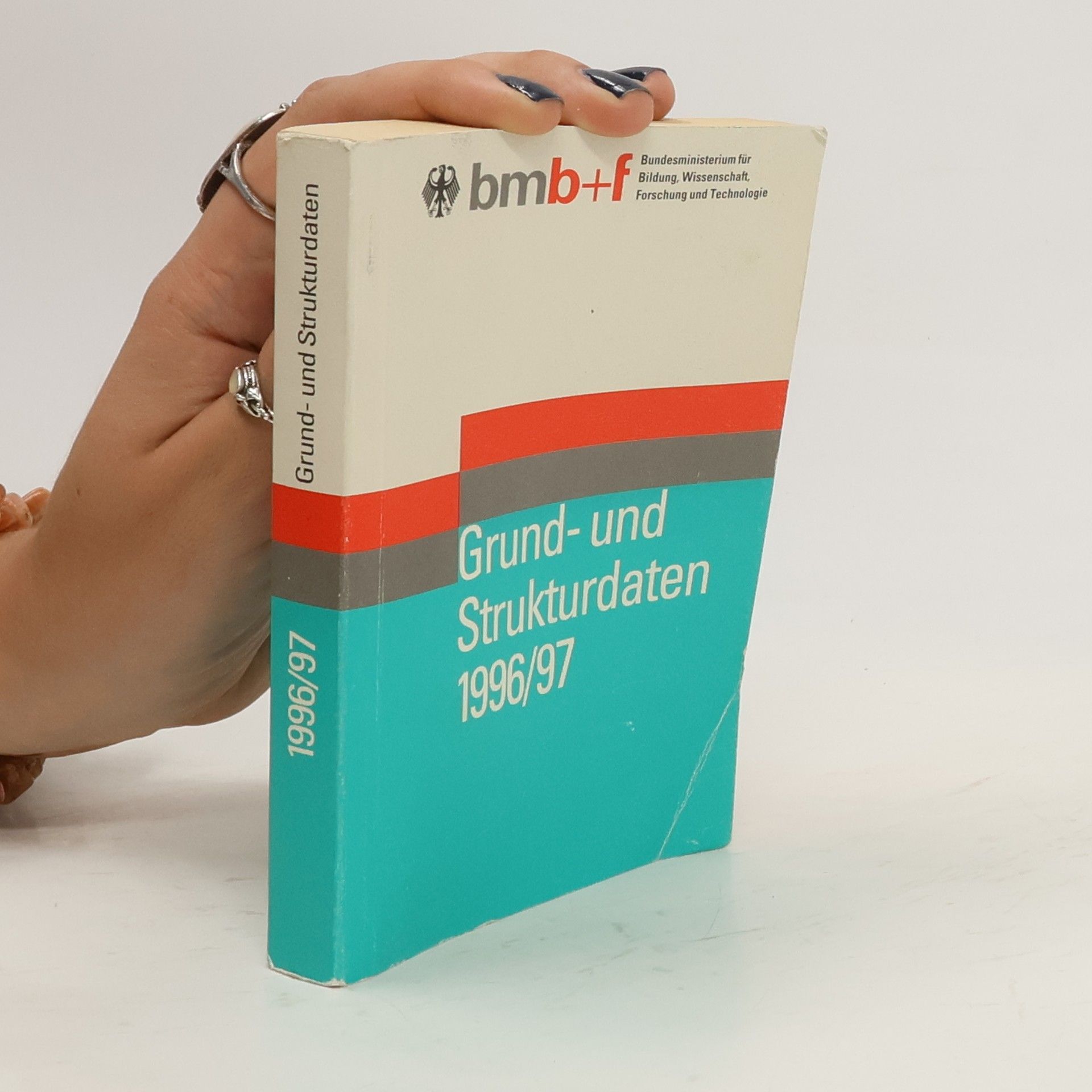 Kolektiv autorů Grund-und Strukturdaten 1996/97