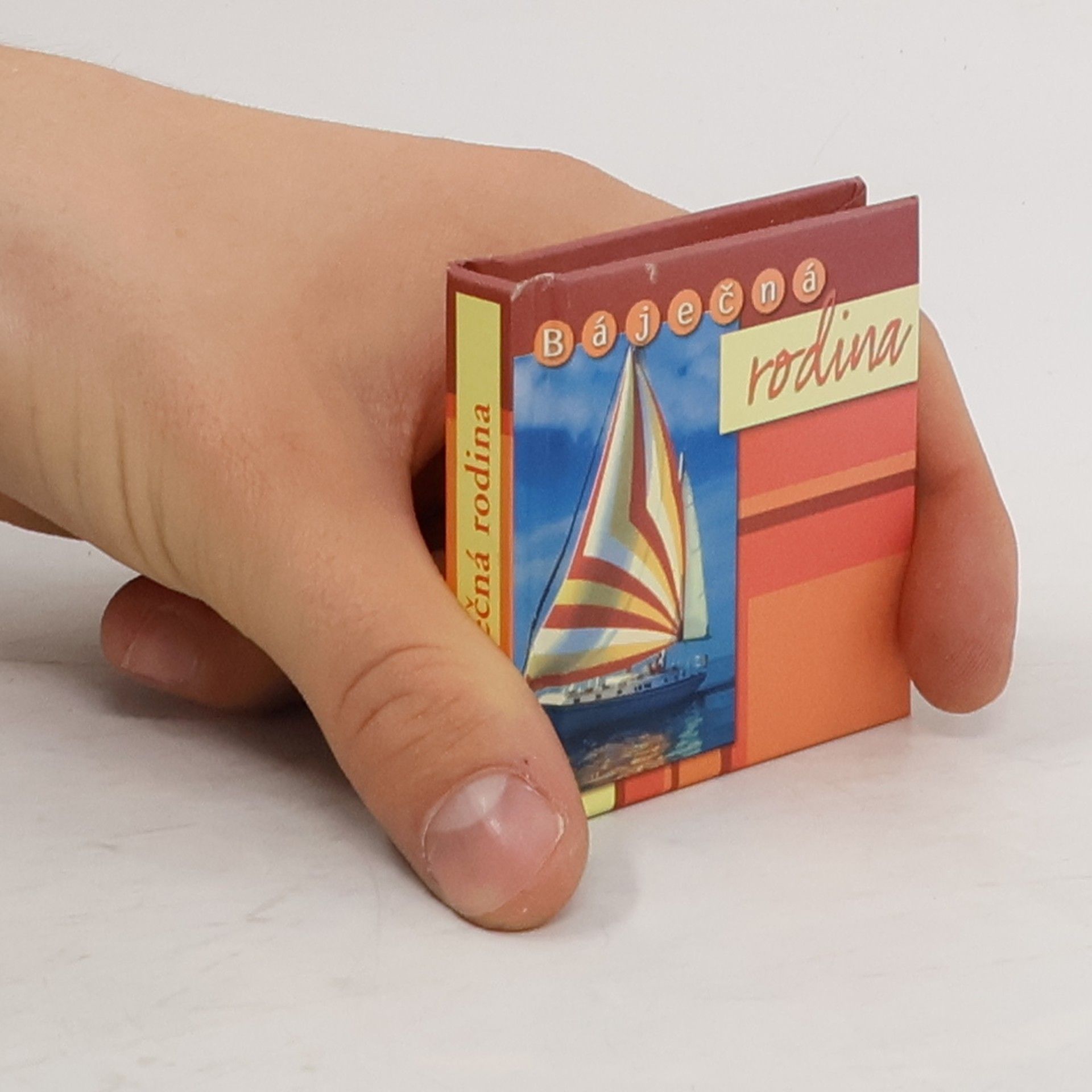 Kolektív autorov Báječná rodina