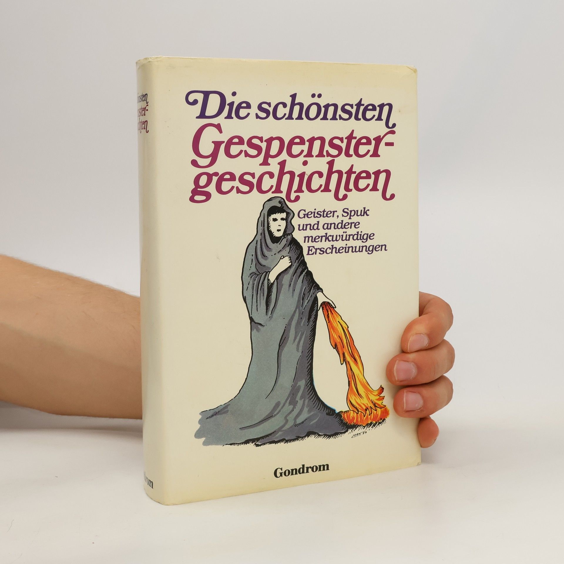 Roland W. Fink-Henseler Die schönsten Gespenstergeschichten