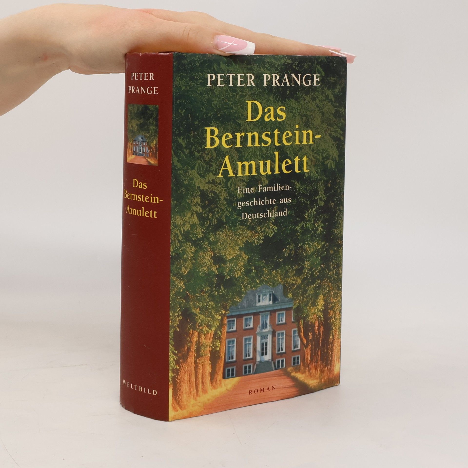 Peter Prange Das Bernstein-Amulett