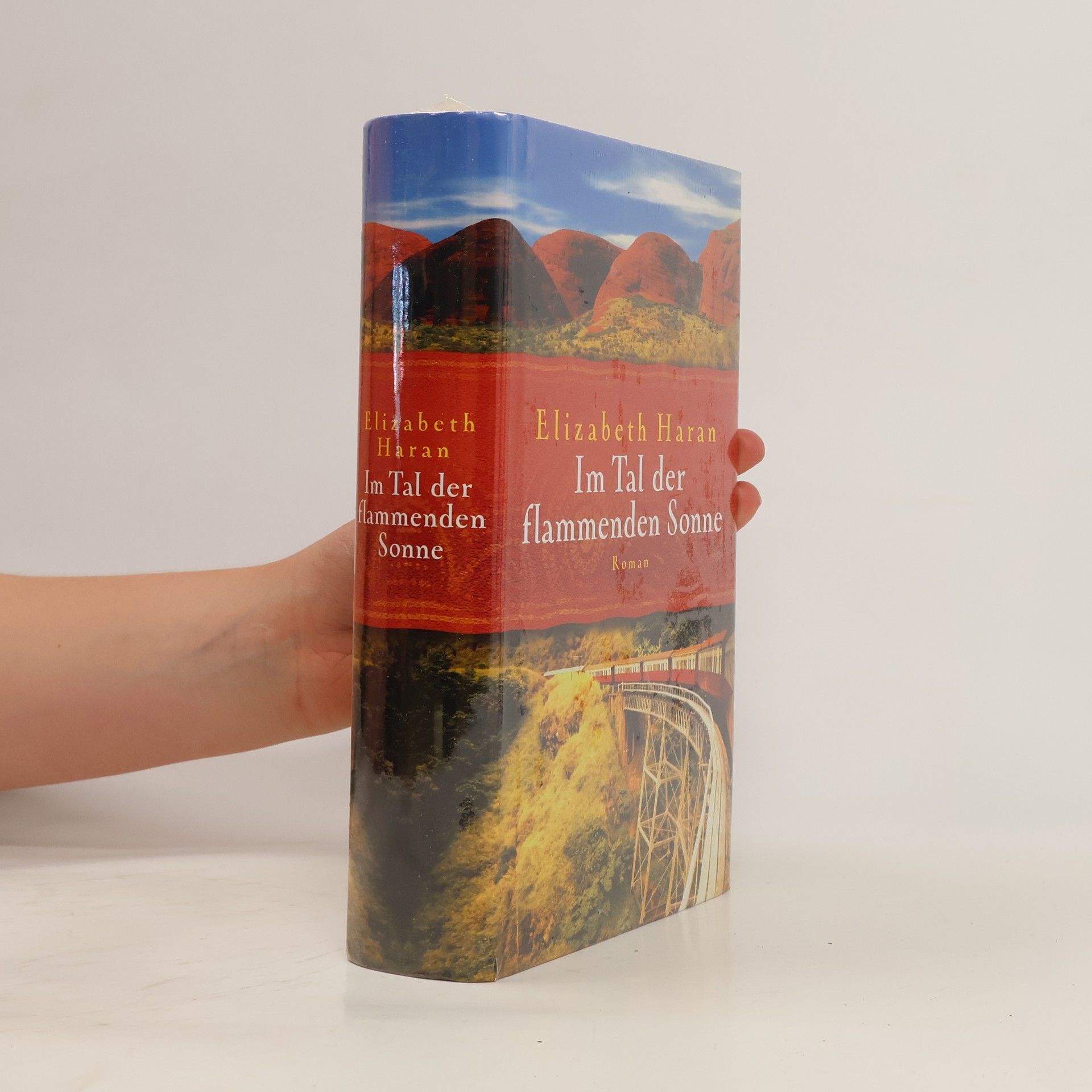 Elizabeth Haran Im Tal der flammenden Sonne