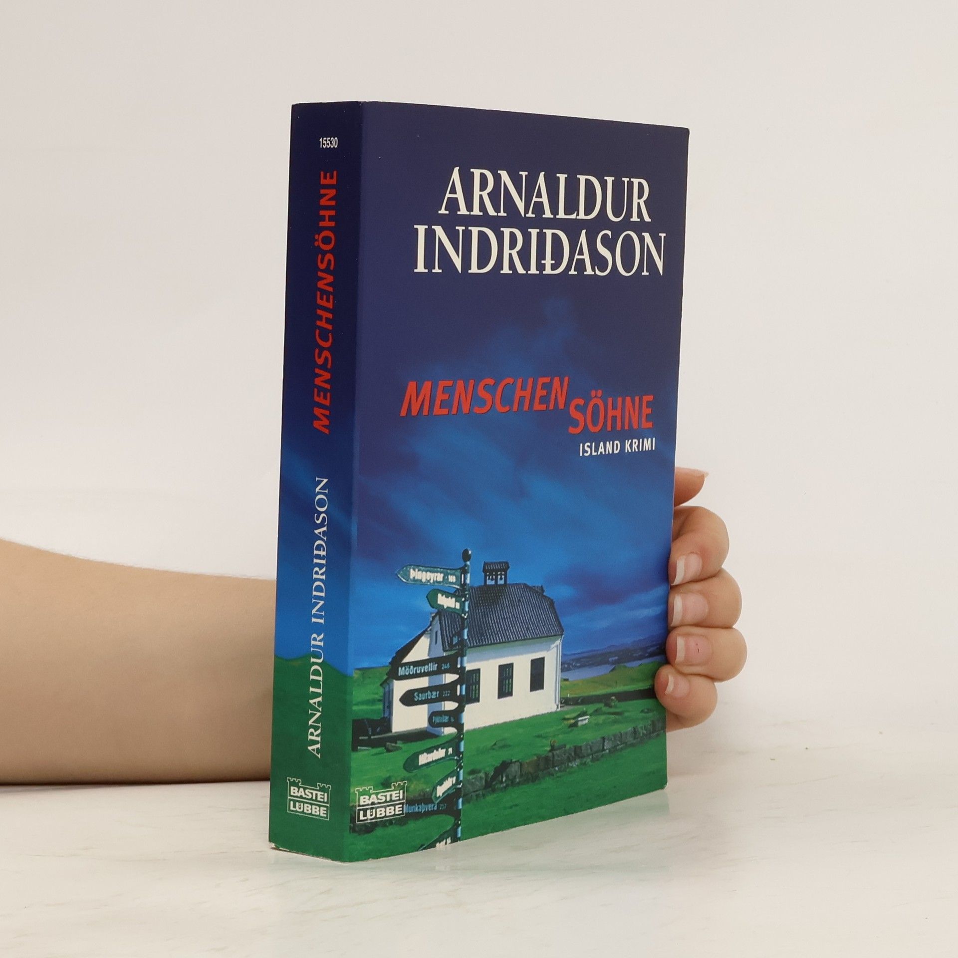 Arnaldur Indriðason Menschensöhne