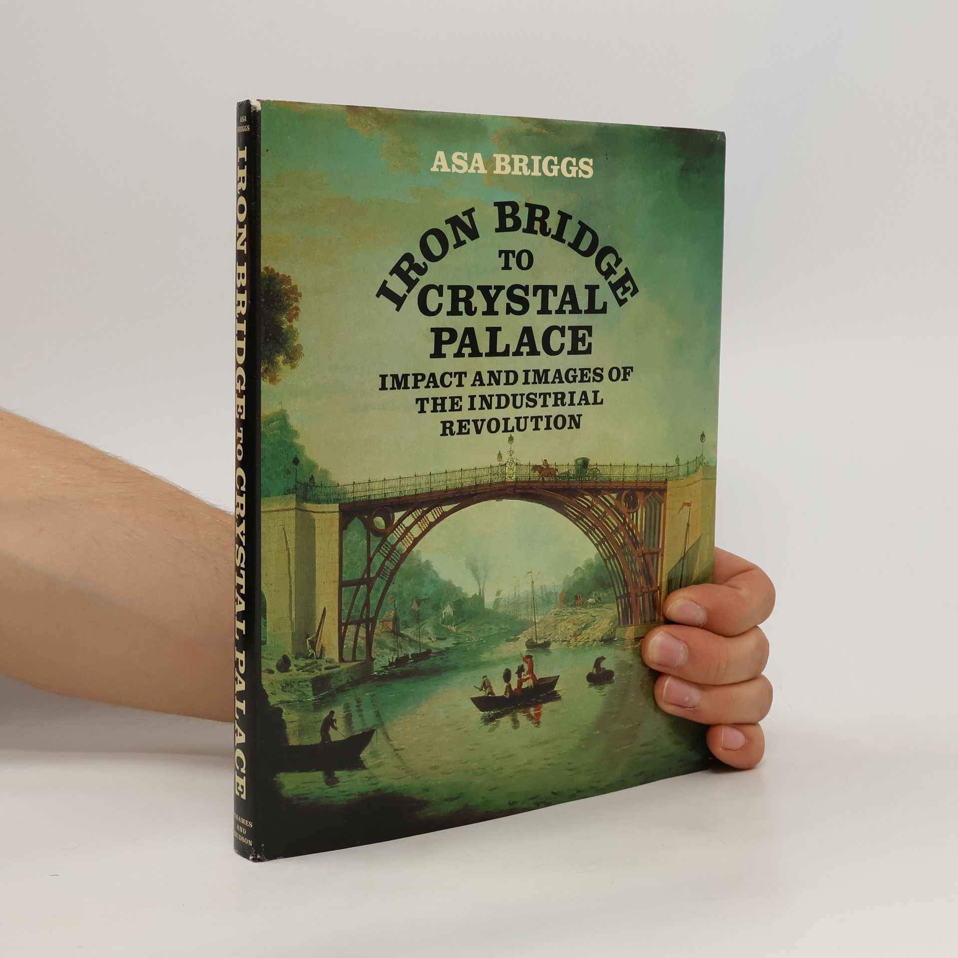 Asa Briggs Iron Bridge to Crystal Palace