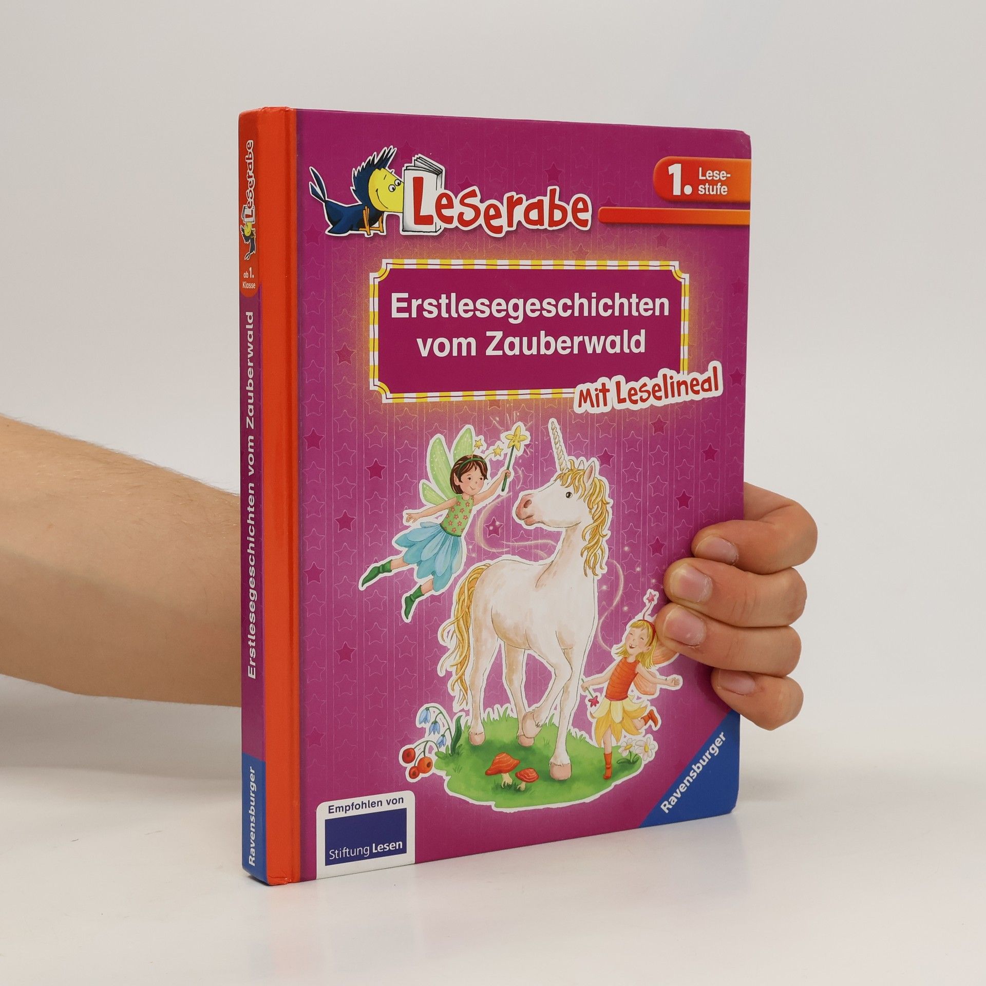 Thilo Erstlesegeschichten vom Zauberwald