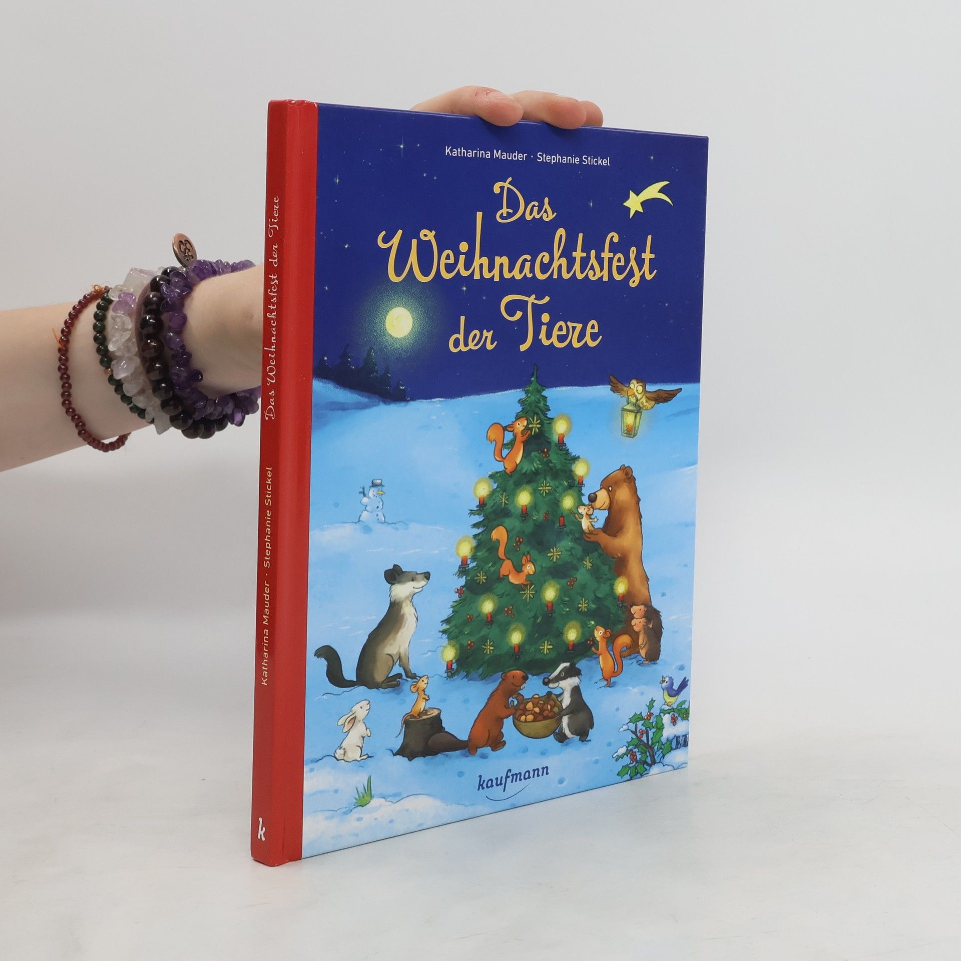 Katharina Mauder Das Weihnachtsfest der Tiere