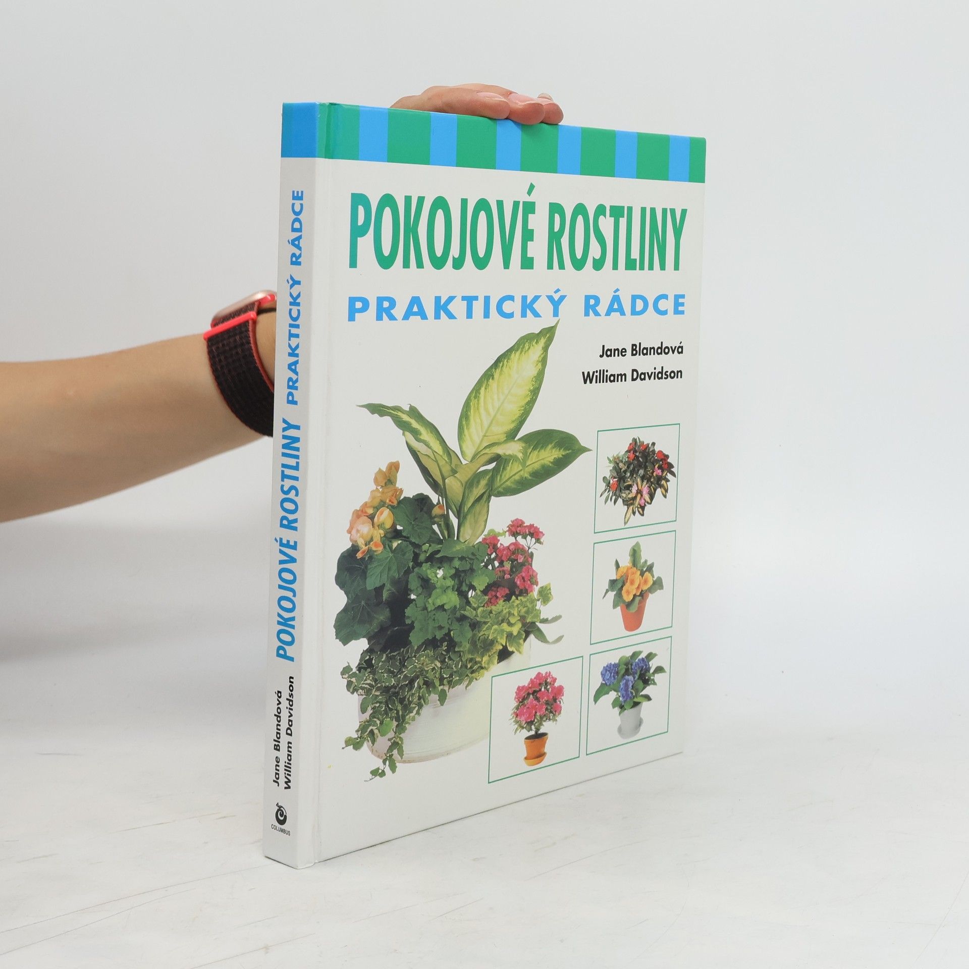 Pokojové rostliny : praktický rádce