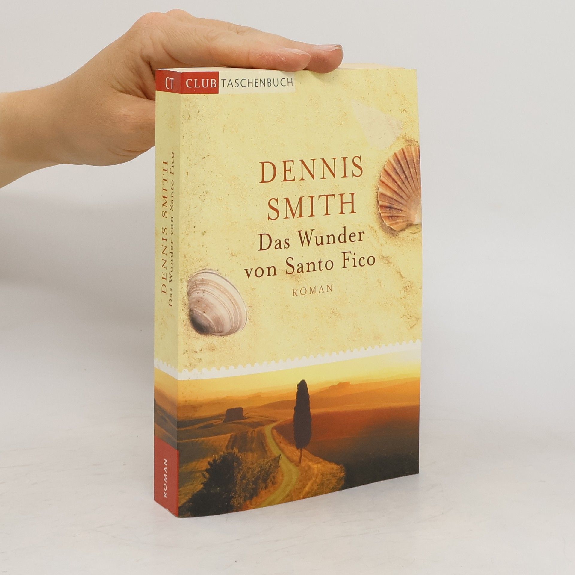 Dennis Smith Das Wunder von Santo Fico