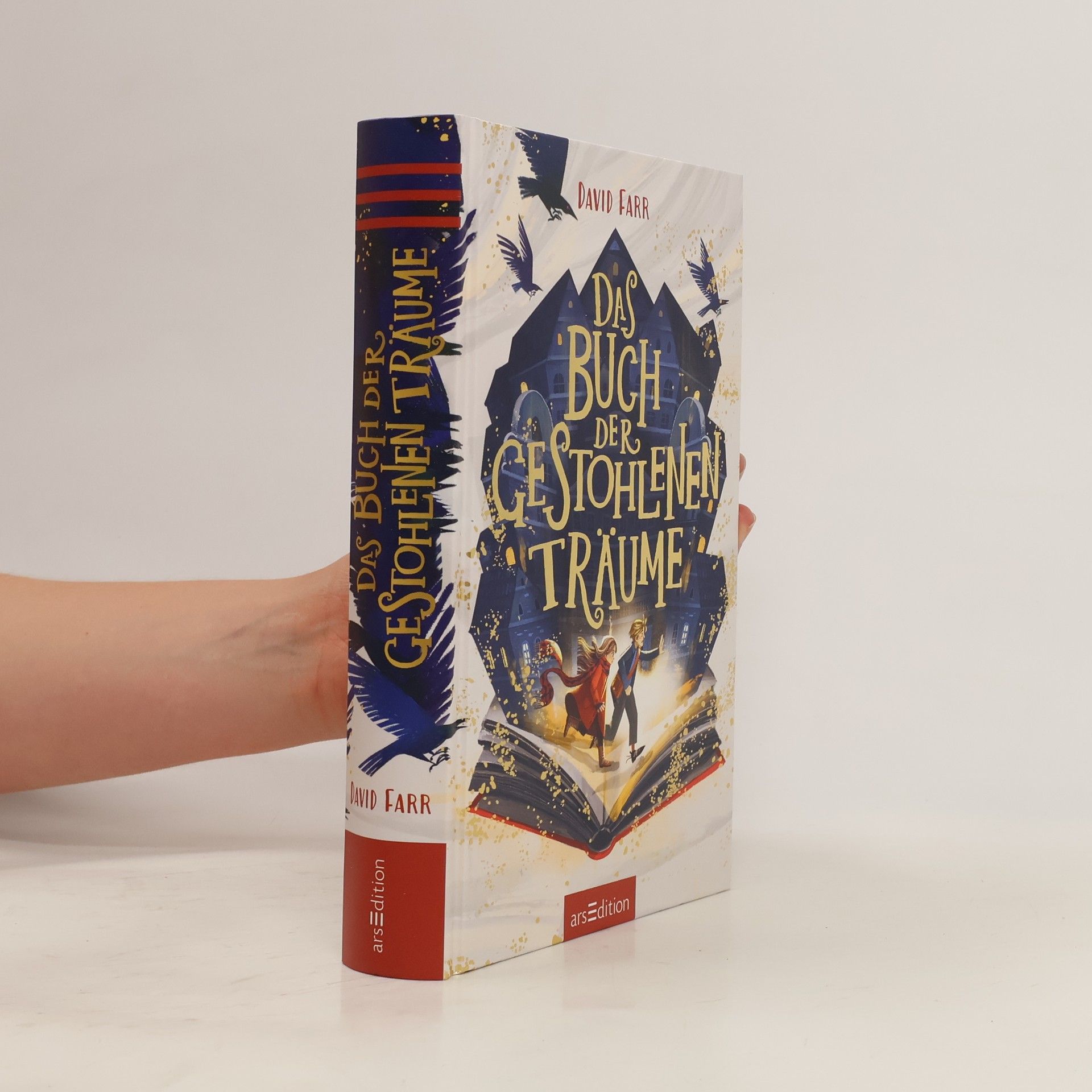 David Farr Das Buch der gestohlenen Träume