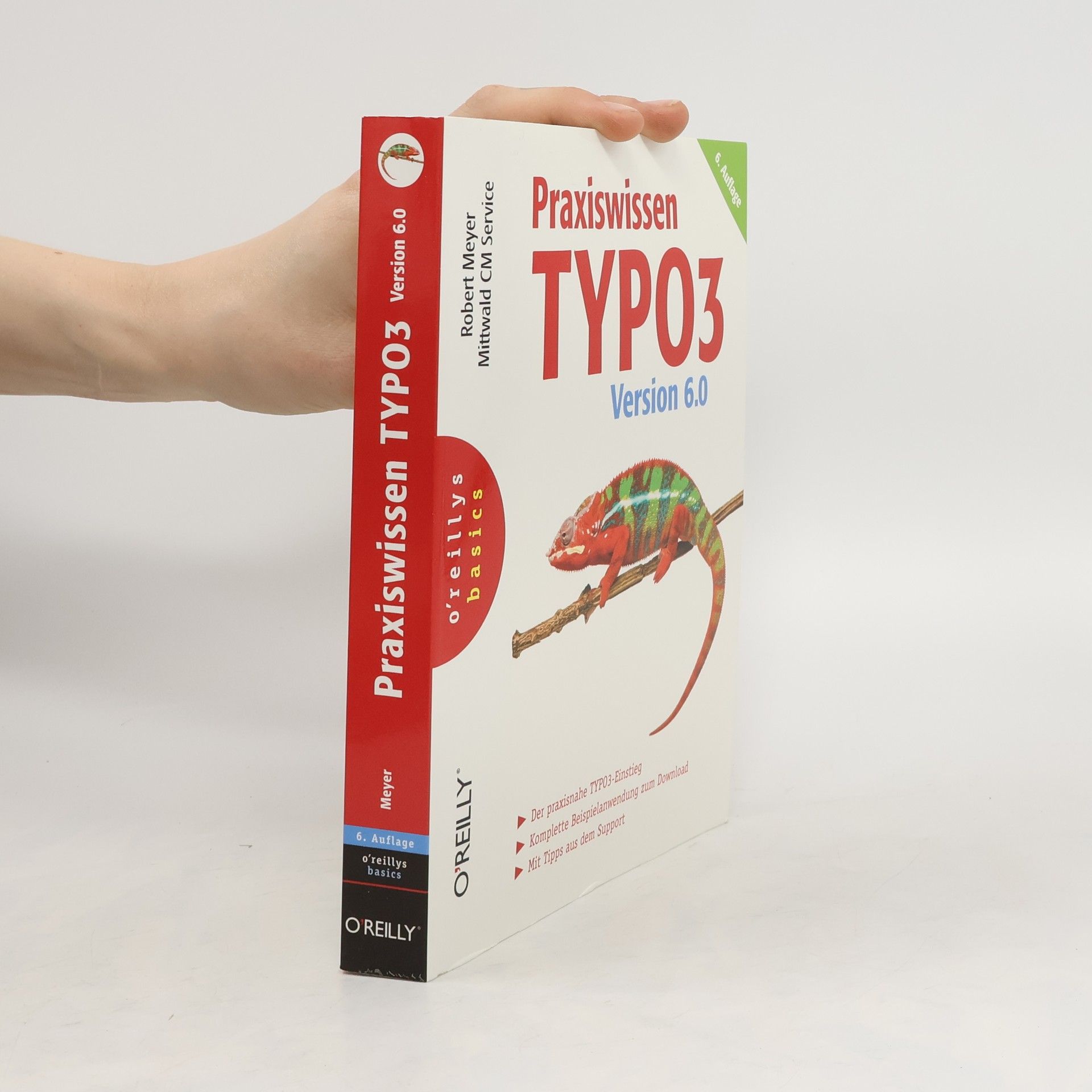 Robert Meyer Praxiswissen TYPO3