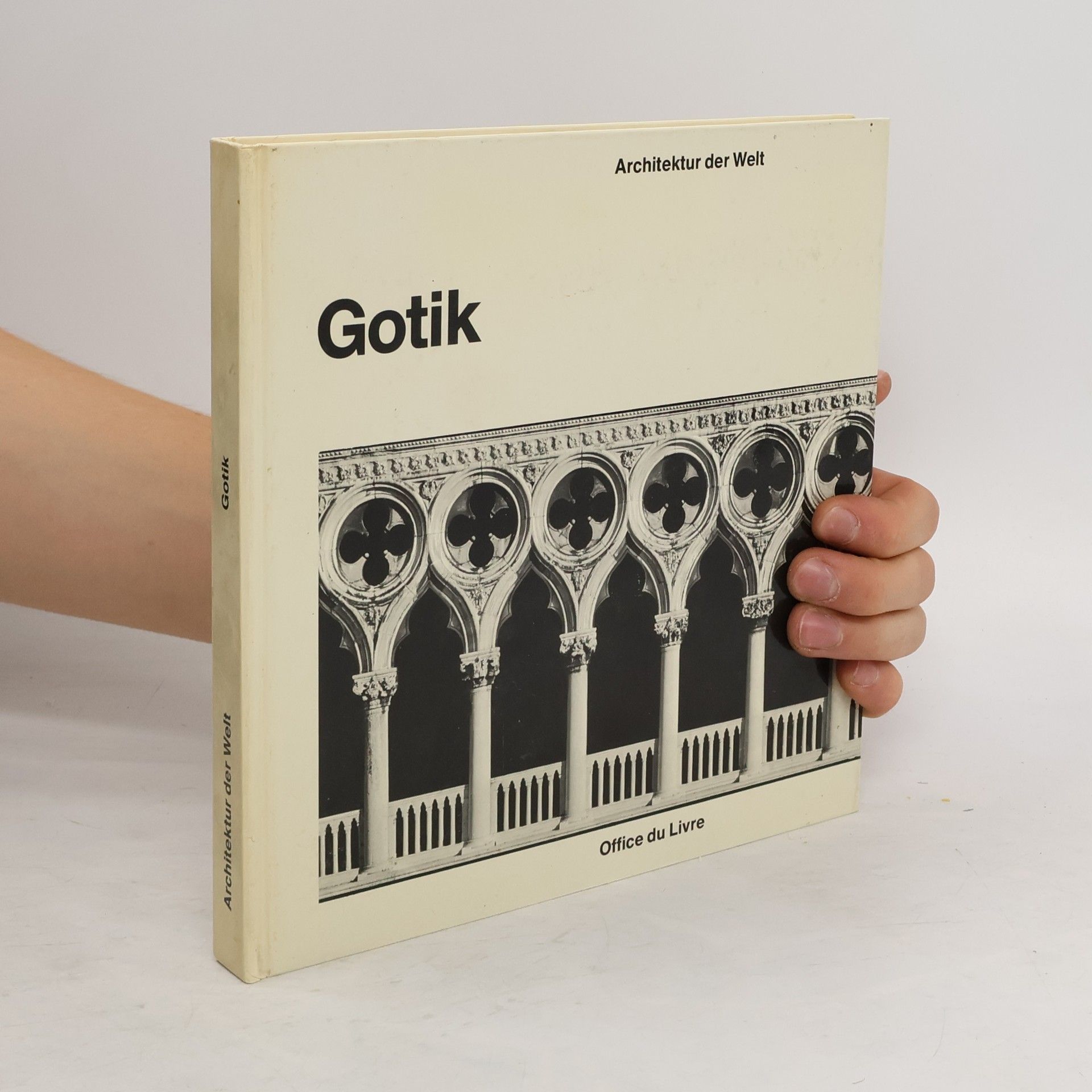 Autorenkollektiv Gotik. Architektur der Welt