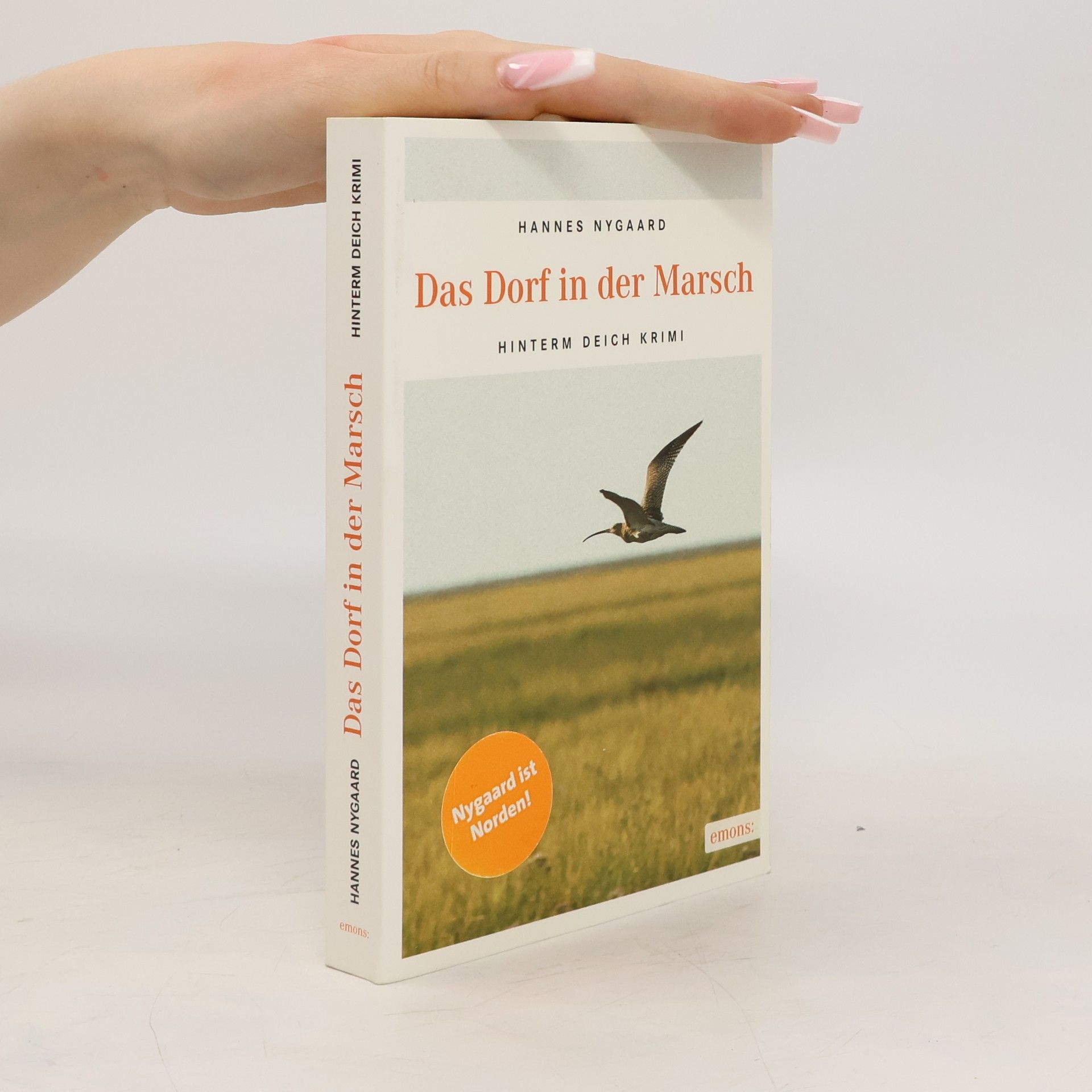 Hannes Nygaard Das Dorf in der Marsch